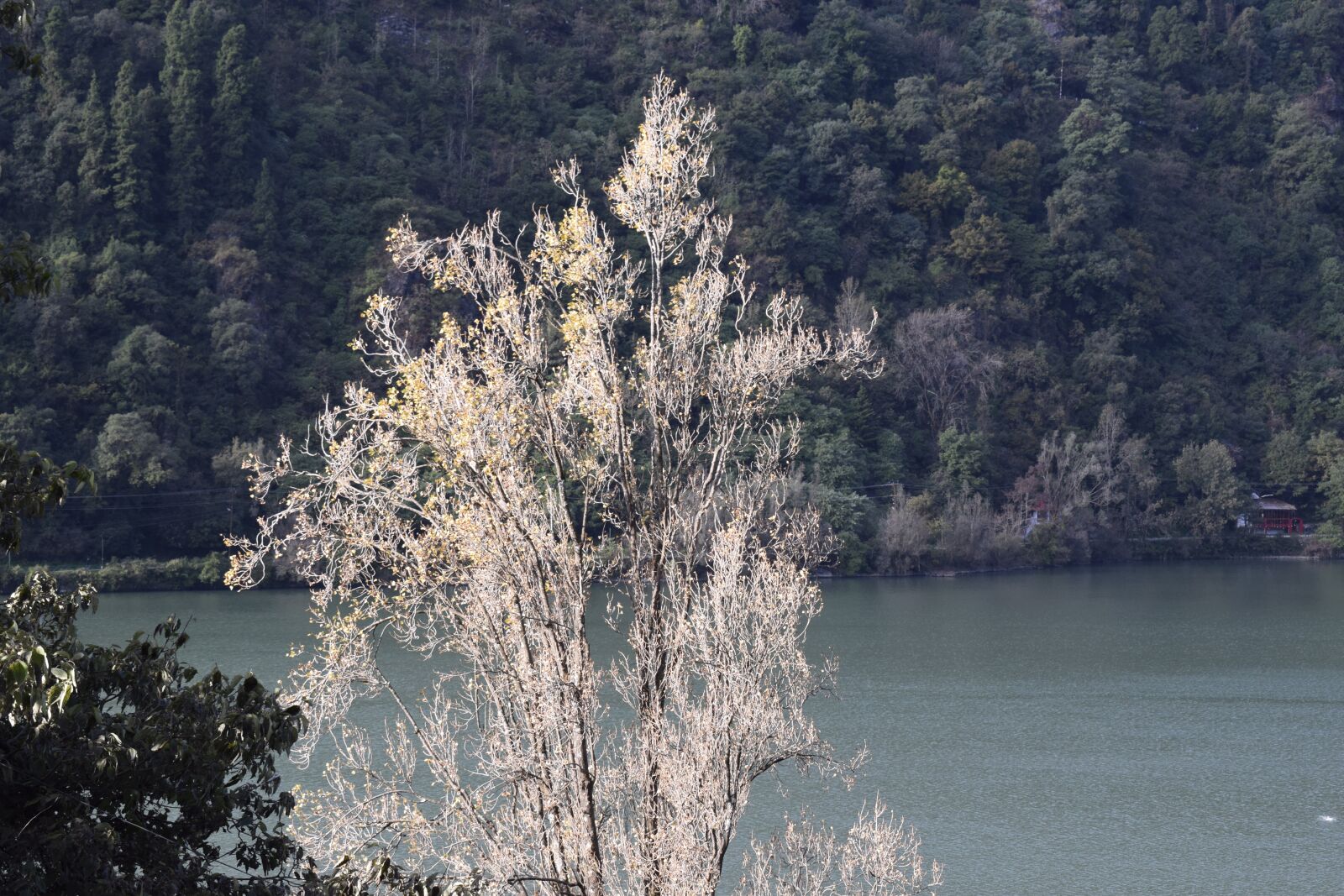 Nikon D5300 sample photo. Nainital, lake, uttarakhand photography