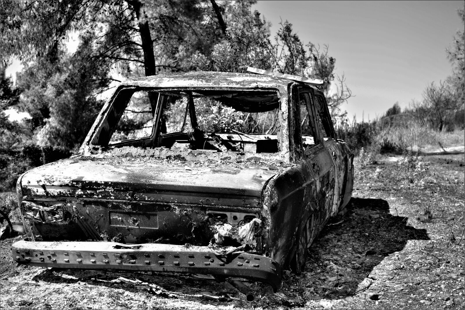 Nikon D5200 sample photo. Burned-out, car, forest photography