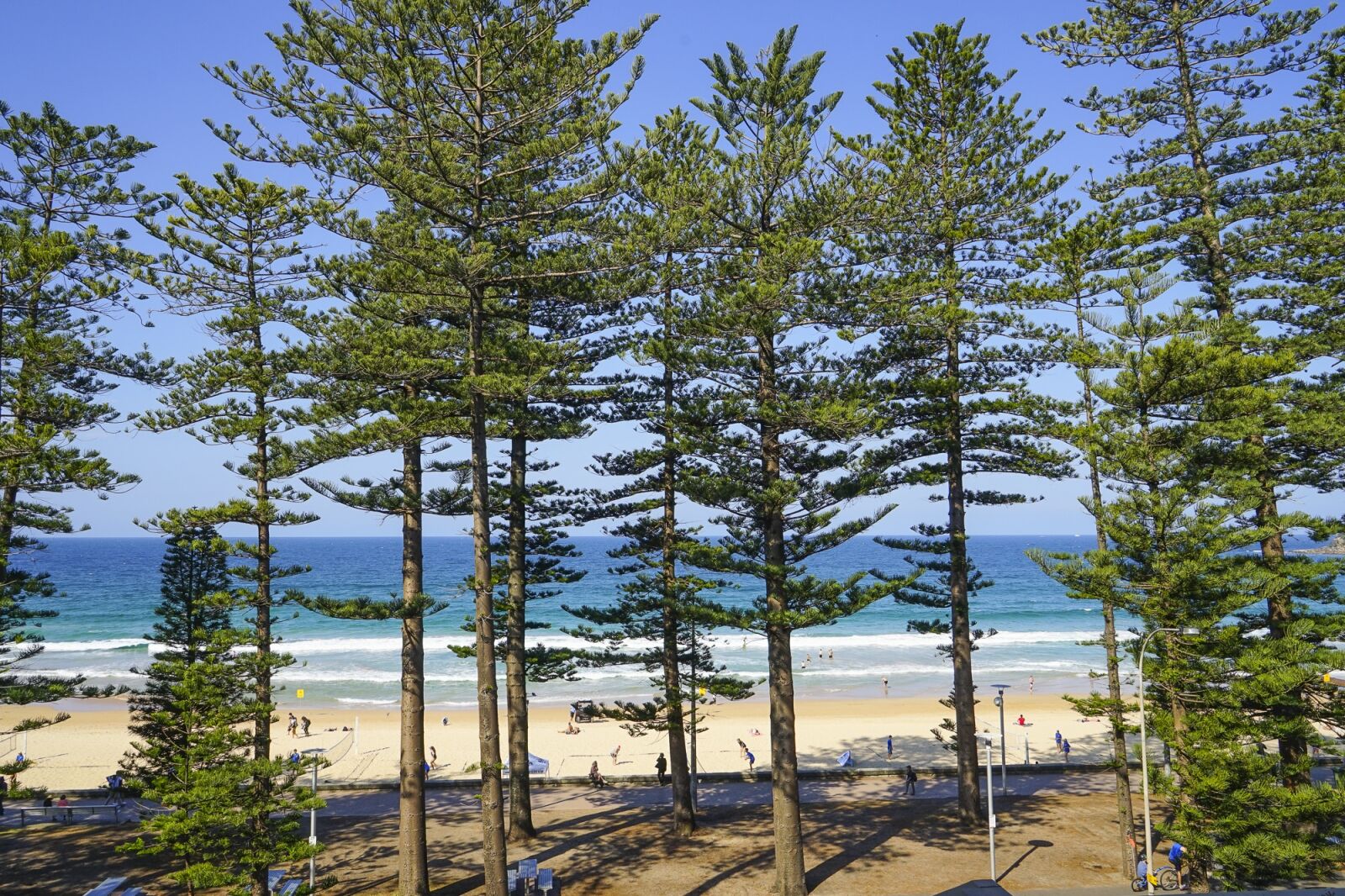Sony a7 + Sony Vario Tessar T* FE 24-70mm F4 ZA OSS sample photo. Manly, australia, sydney photography