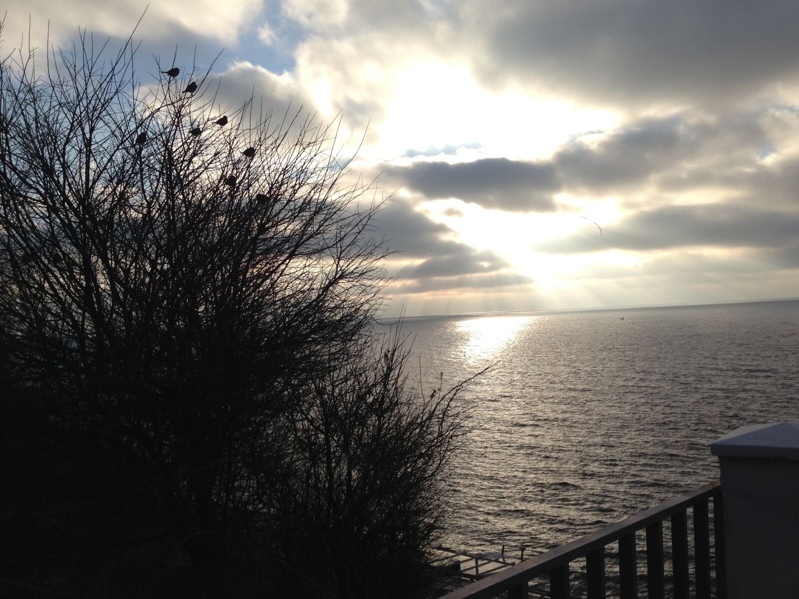 iPhone 5 back camera 4.12mm f/2.4 sample photo. Sea, sky, birds photography