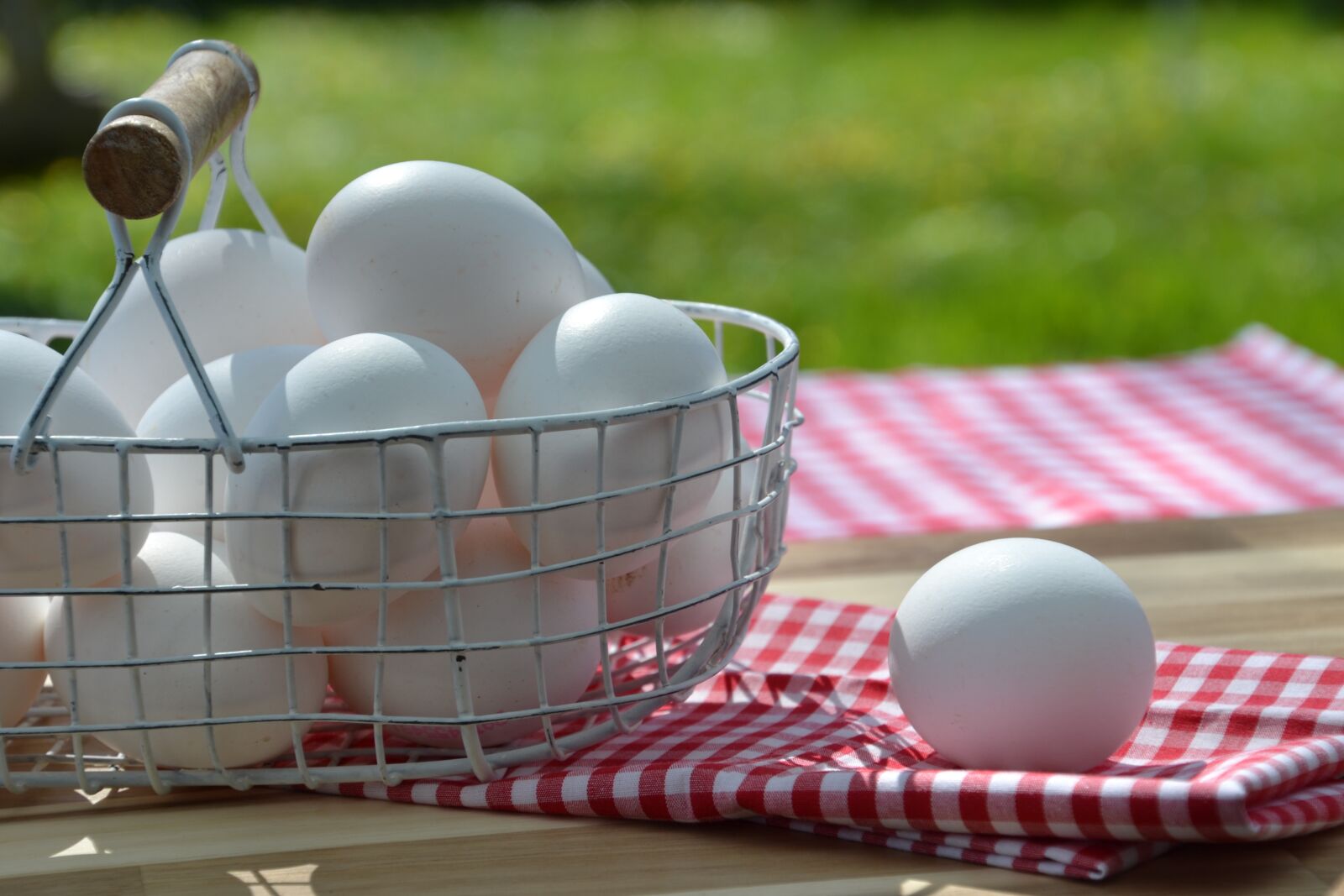 Nikon D3100 sample photo. Egg, white, hen's egg photography