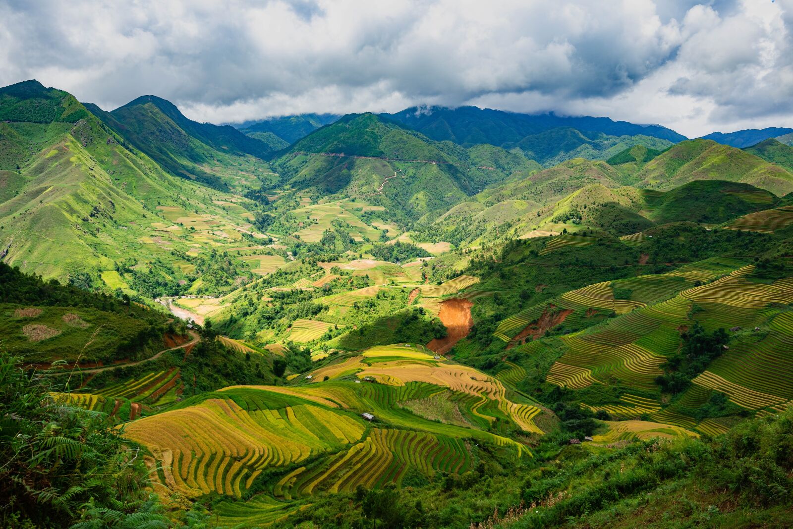 Nikon D750 sample photo. Landscape, terraces, rice terraces photography