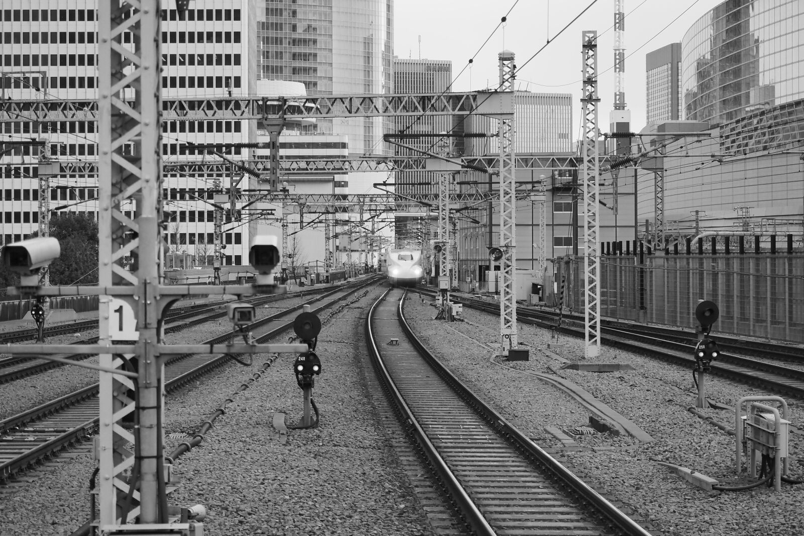 Olympus OM-D E-M1 Mark II + Olympus M.Zuiko Digital ED 12-40mm F2.8 Pro sample photo. Tokyo station, bullet train photography