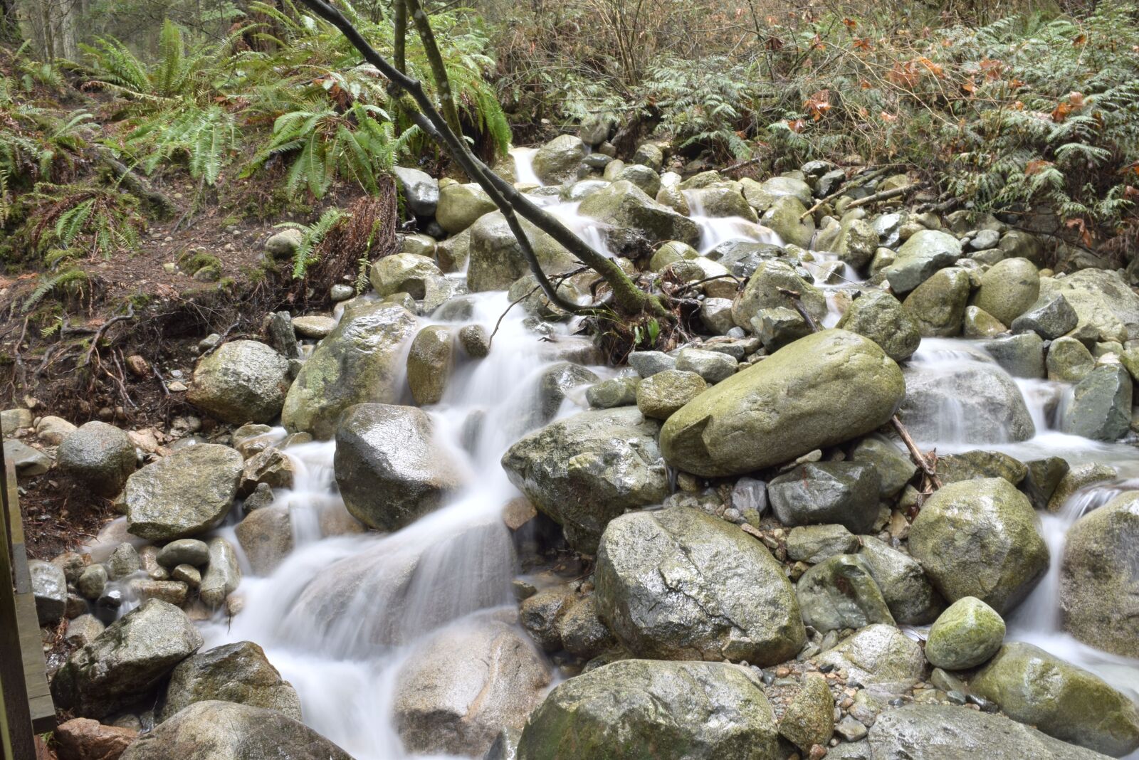 Nikon D5300 sample photo. Vancouver, canada, rocks photography
