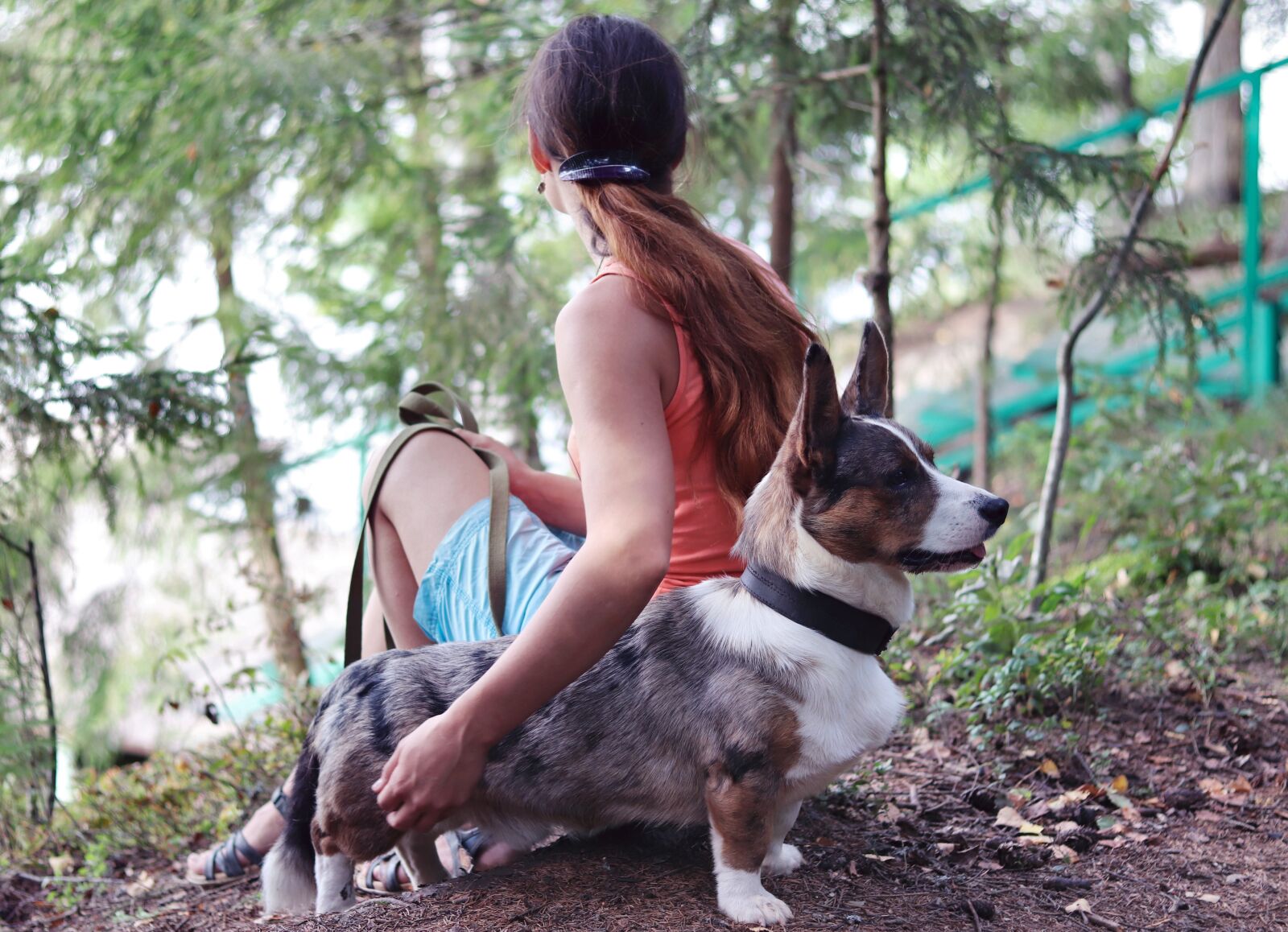 Canon EF 50mm F1.8 STM sample photo. Girl, dog, forest photography
