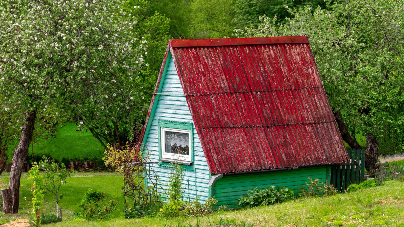 Nikon D5600 sample photo. House, garden, trees photography