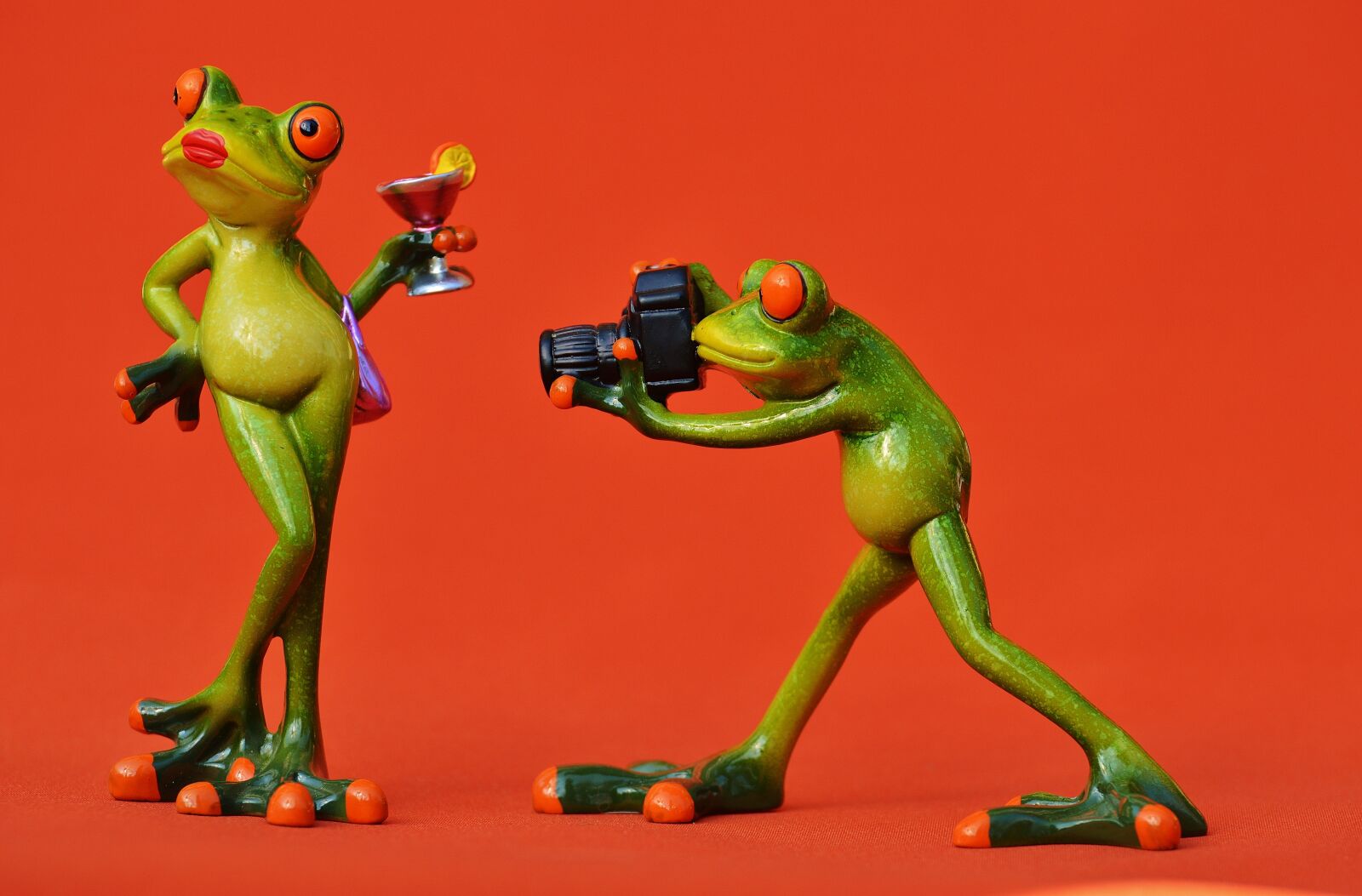 Nikon D3200 sample photo. Frog, photographer, model photography