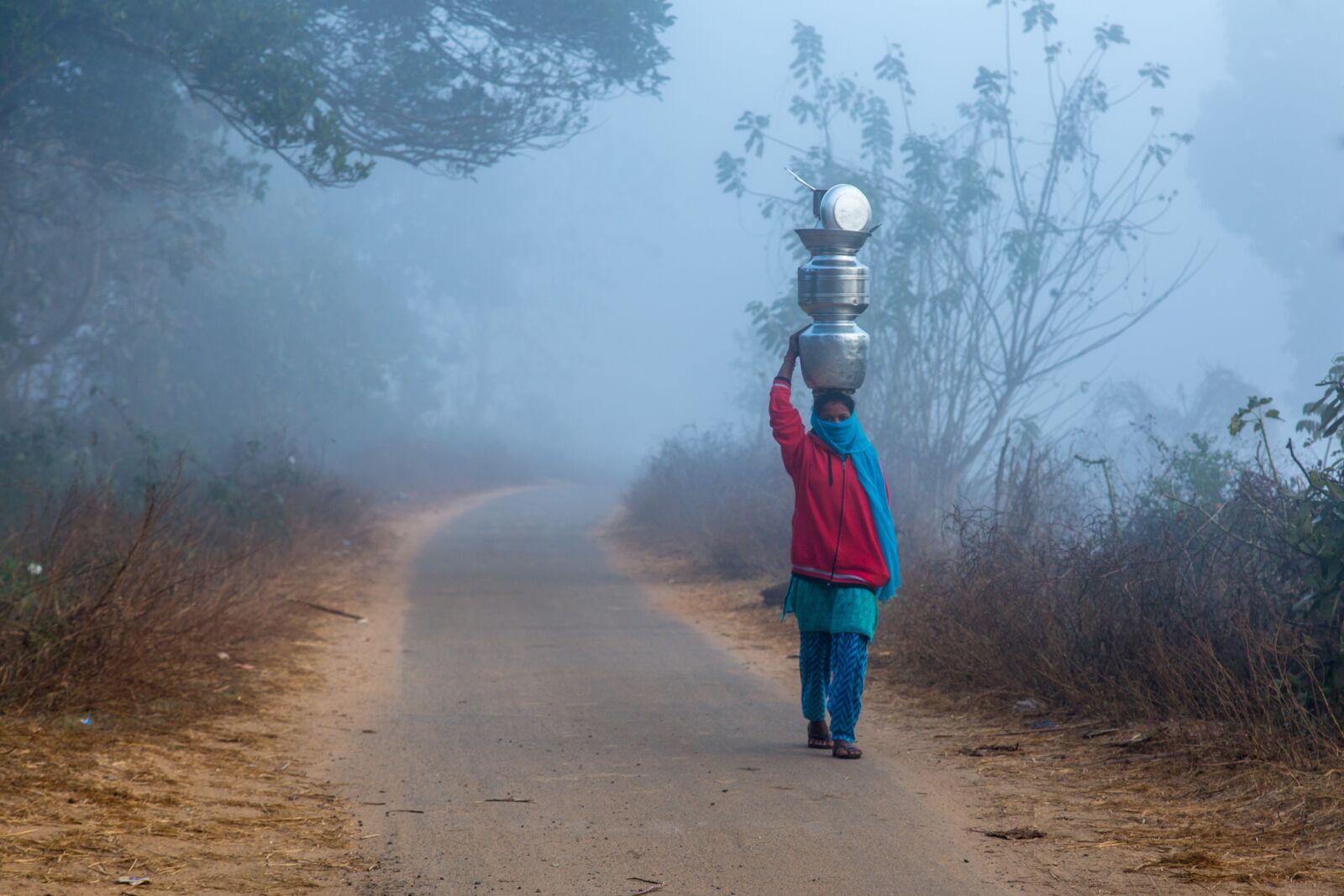 Canon EF 24-105mm F4L IS USM sample photo. India, andhra pradesh, araku photography
