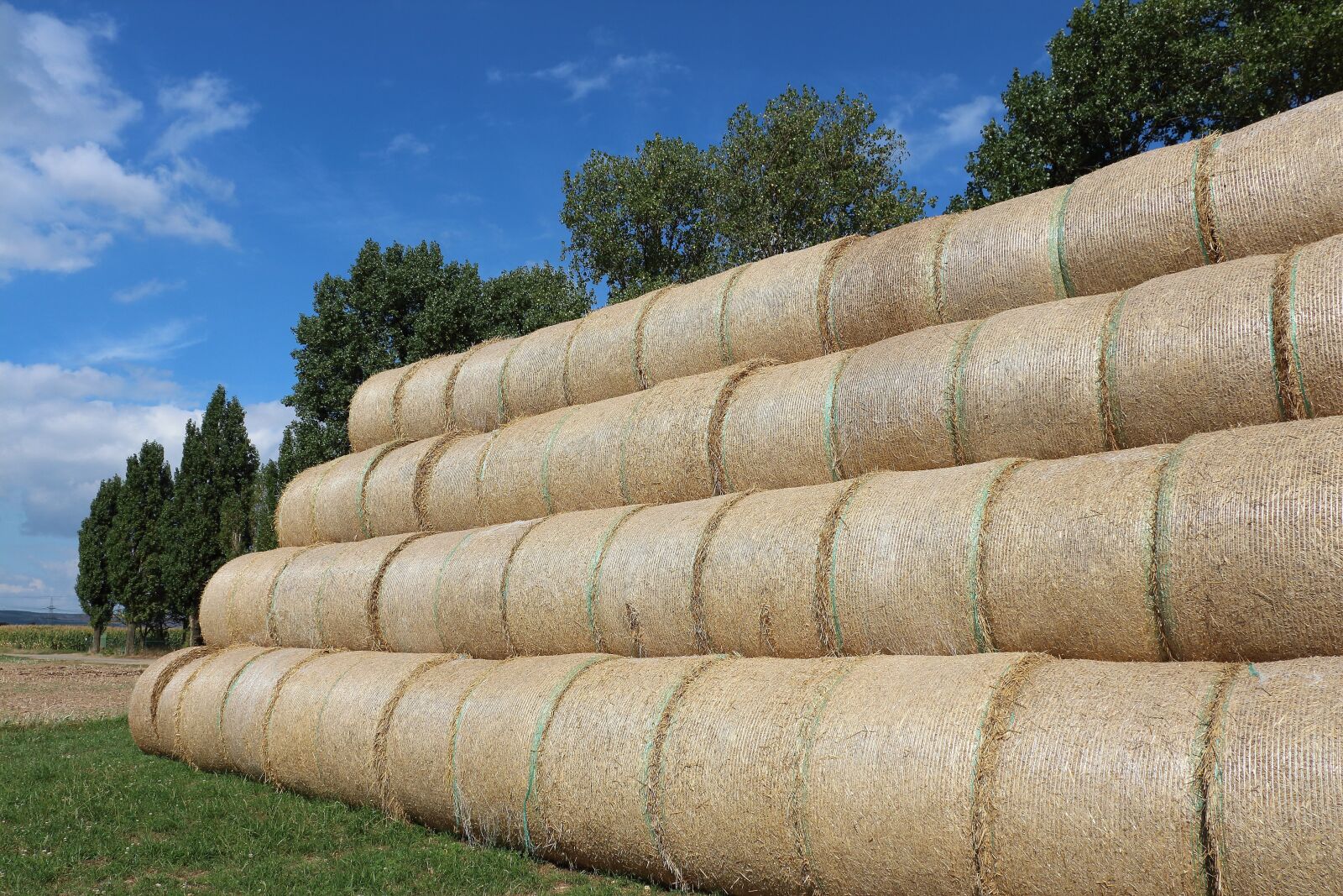 Canon EOS 700D (EOS Rebel T5i / EOS Kiss X7i) sample photo. Straw, straw bales, field photography