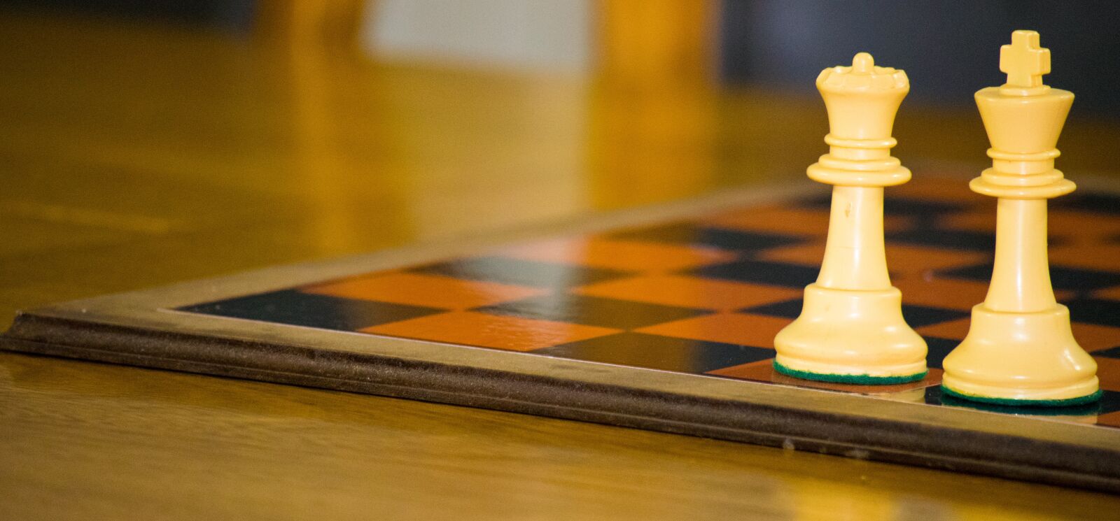 Nikon D5300 sample photo. Game, queen, king photography
