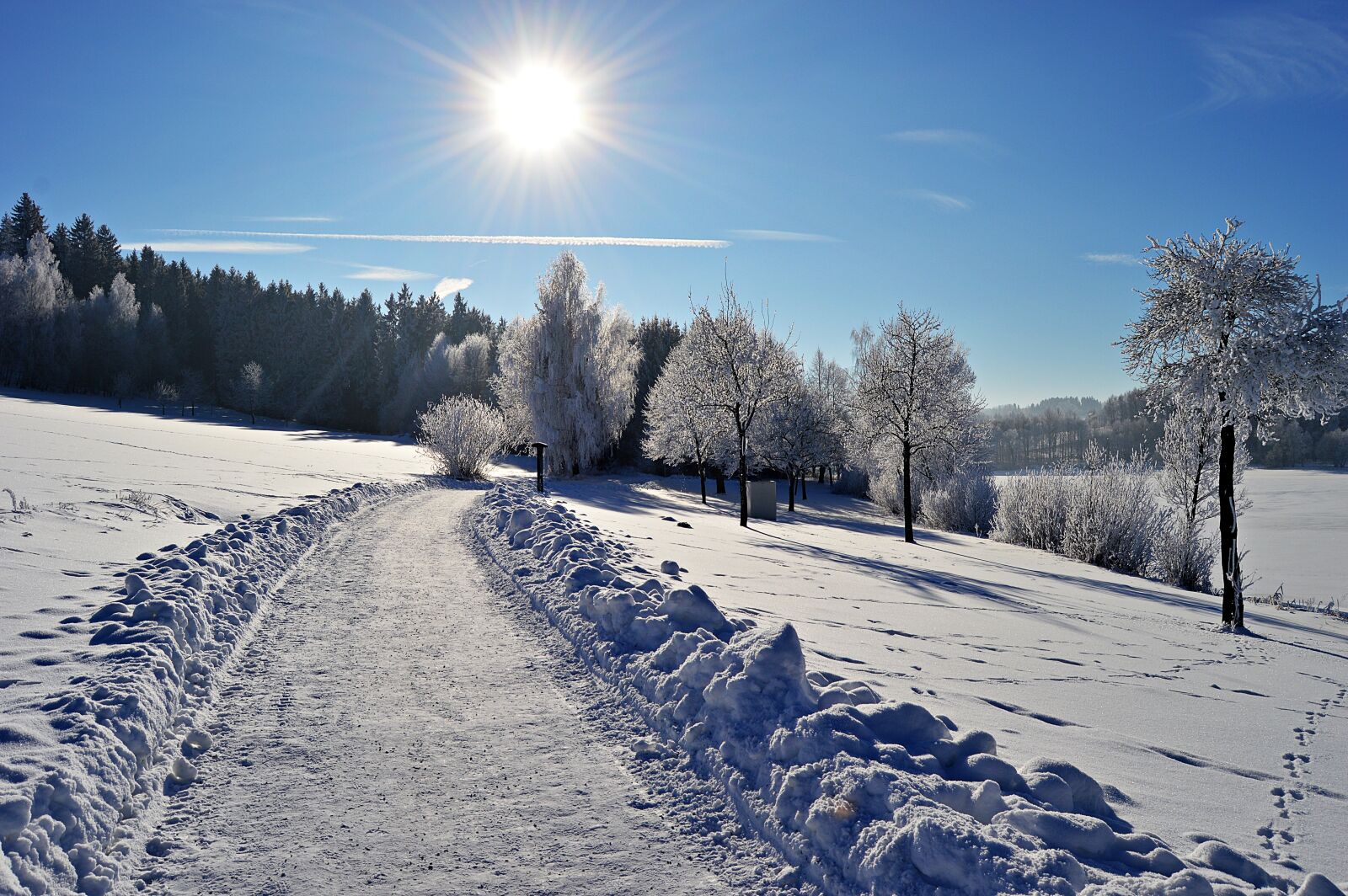 Nikon D3200 sample photo. Sun, winter, snow photography