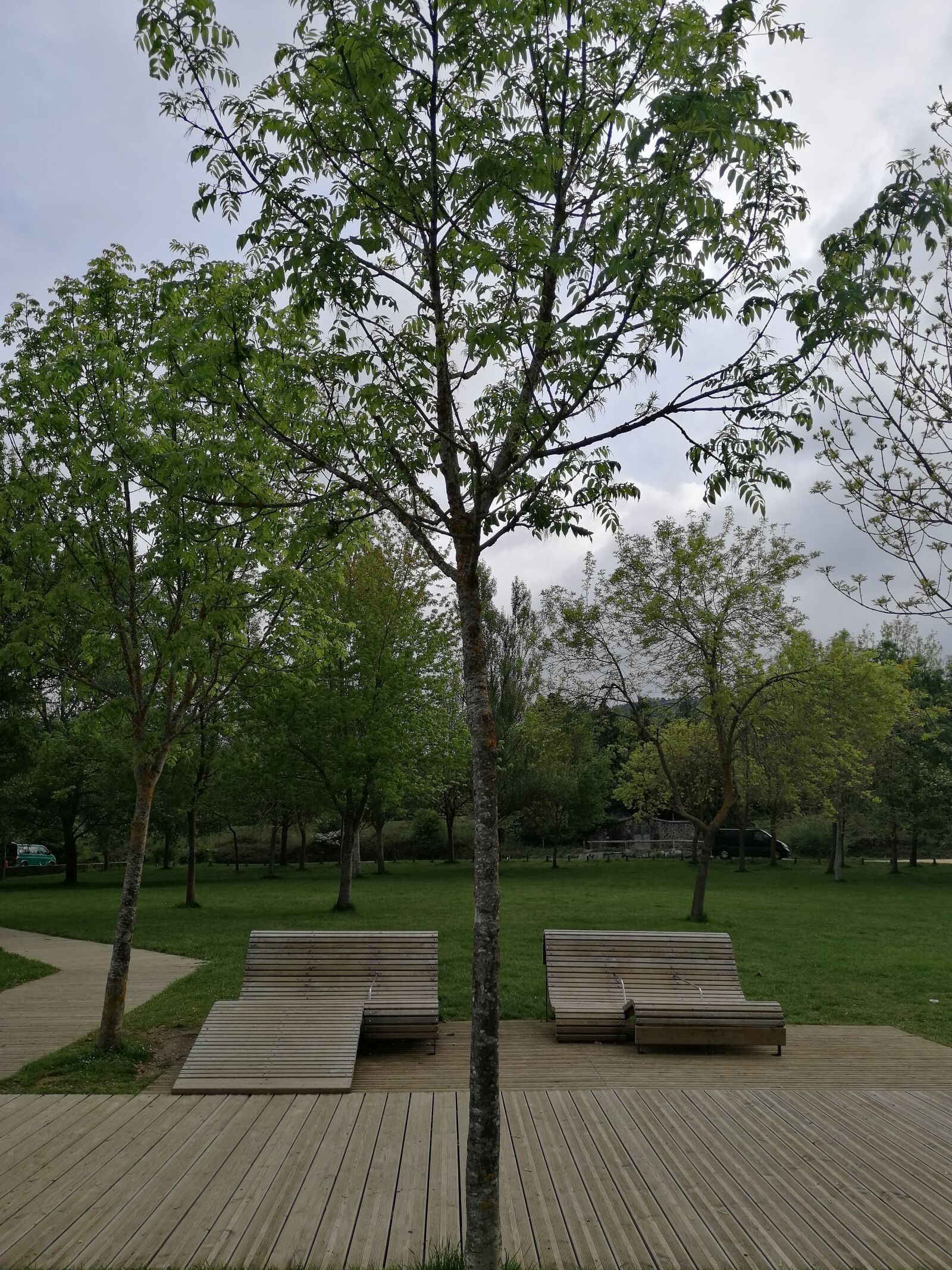 HUAWEI SNE-LX1 sample photo. Marsh, chair, plant photography