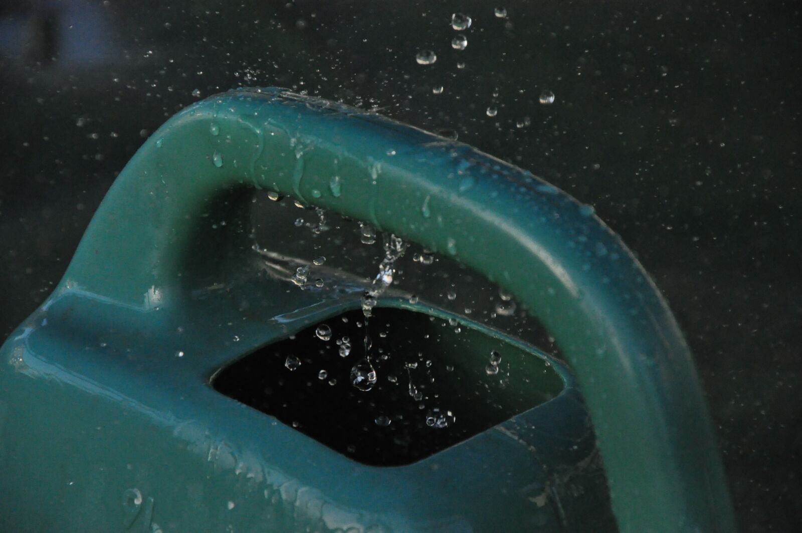 Nikon D90 sample photo. Drop of water, watering photography