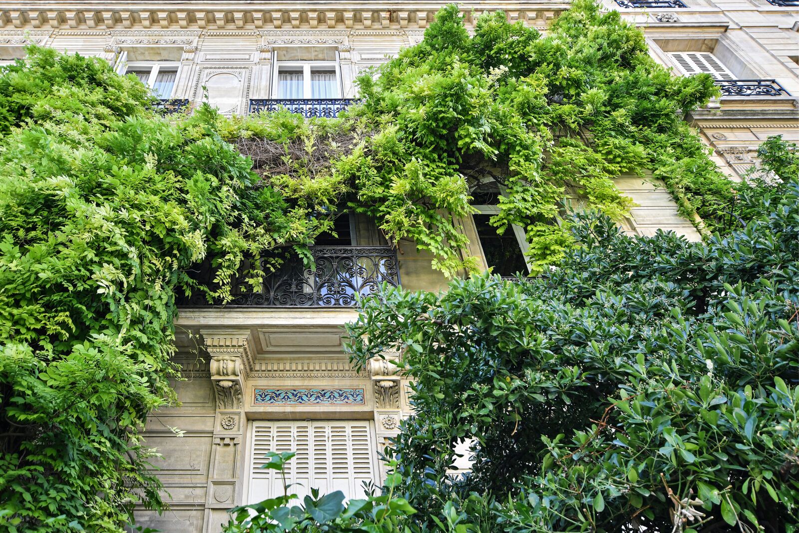 Nikon D500 sample photo. Facade, foliage, apartment photography
