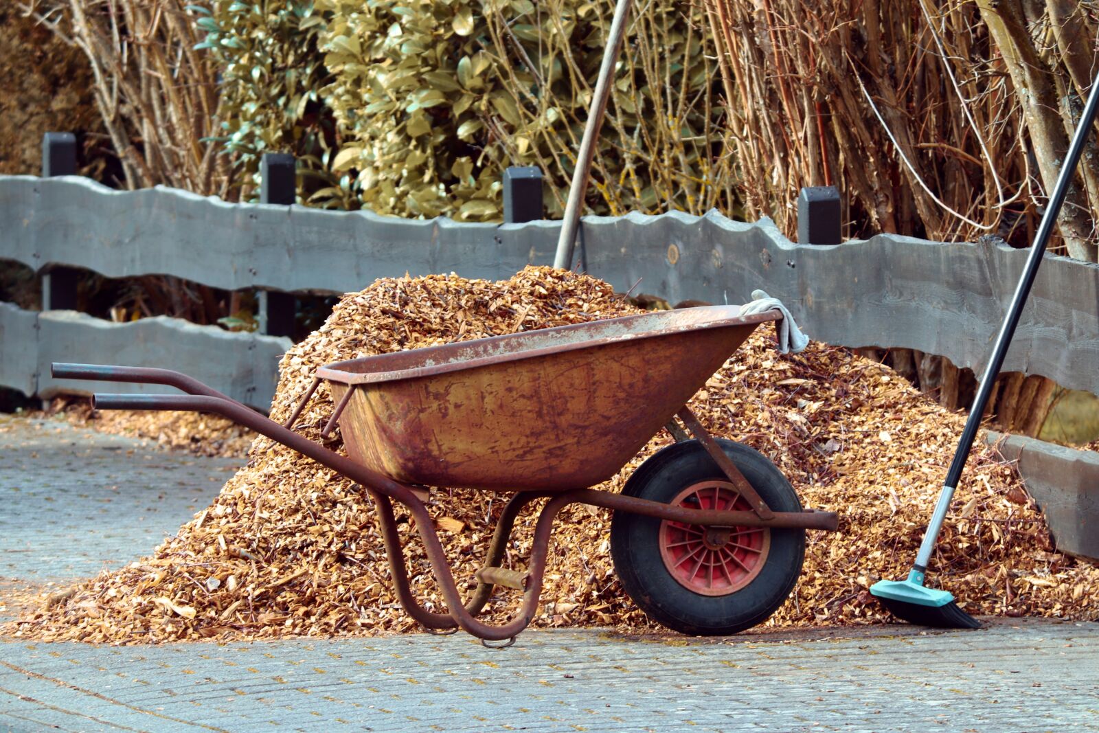 Canon EOS 200D (EOS Rebel SL2 / EOS Kiss X9) sample photo. Gardening, wheelbarrows, broom photography