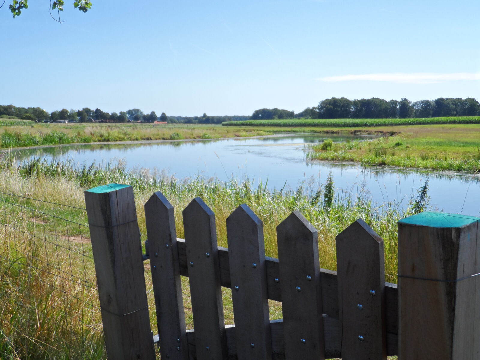 Samsung WB150 / WB150F / WB152 / WB152F / WB151 / WB151F / WB140 sample photo. Fence, nature, summer, water photography