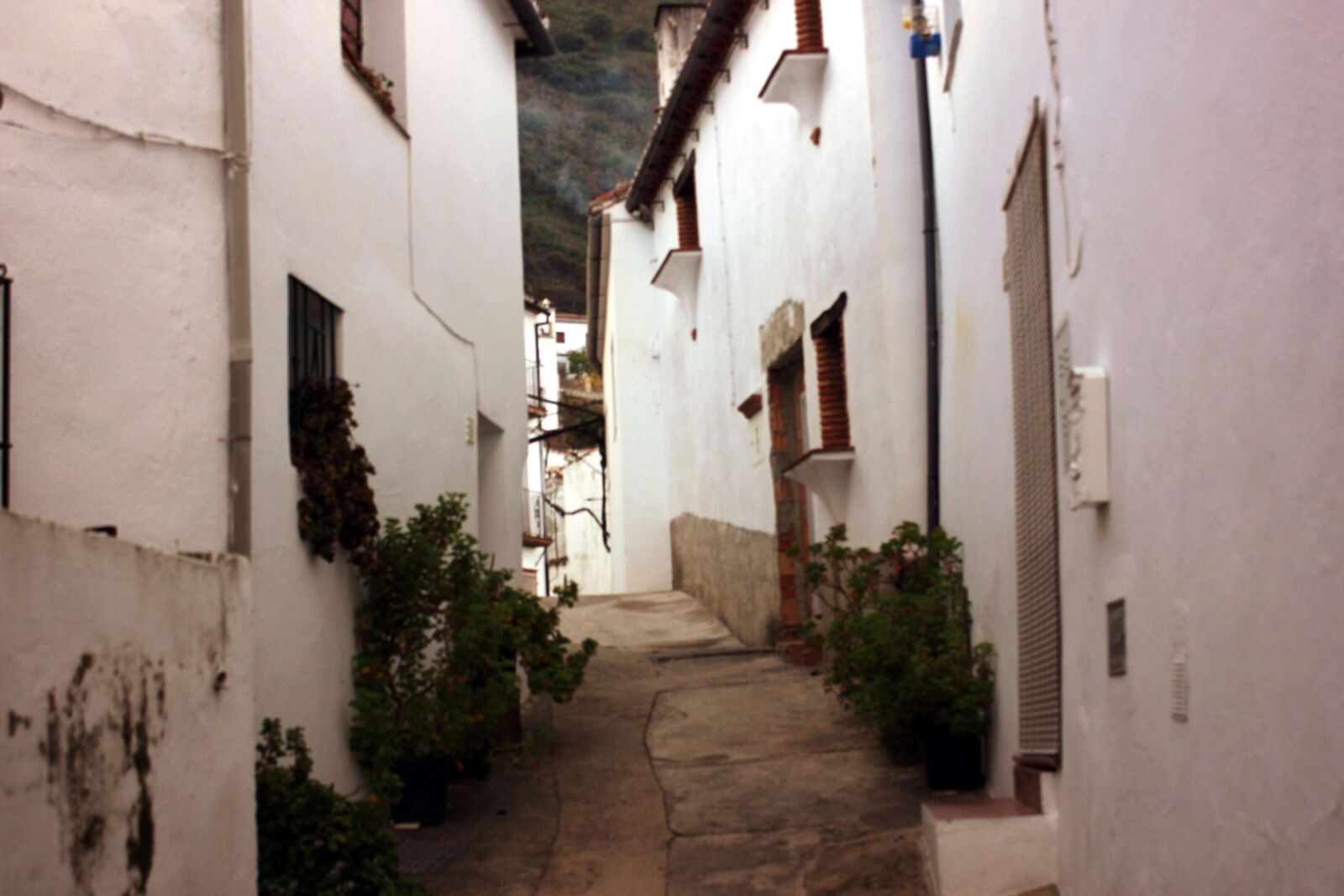 Canon EOS 600D (Rebel EOS T3i / EOS Kiss X5) sample photo. Benalauria, nature, andalusia photography