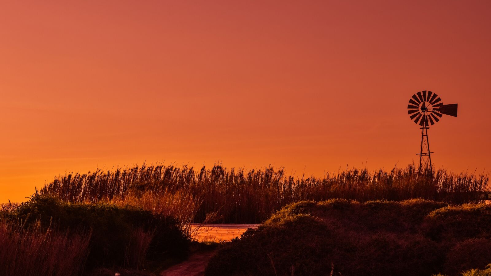 Nikon D3300 sample photo. Windmill, sunset, reeds photography