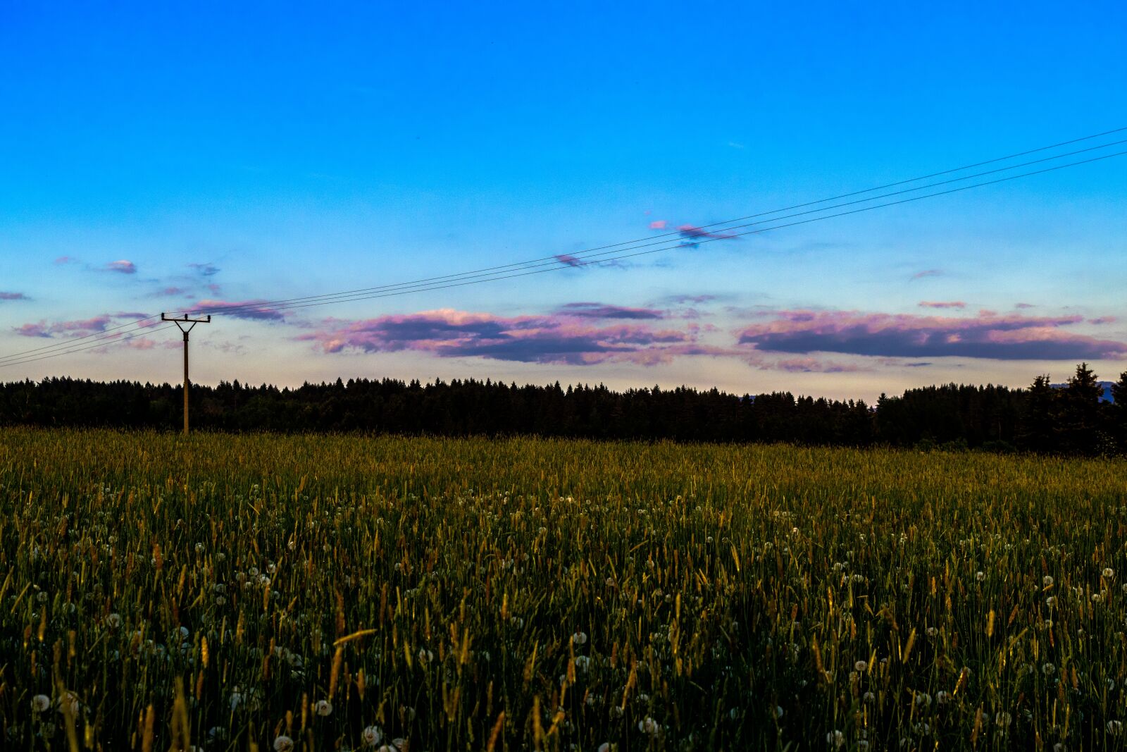 Nikon D3300 sample photo. Clouds, purple, heaven photography