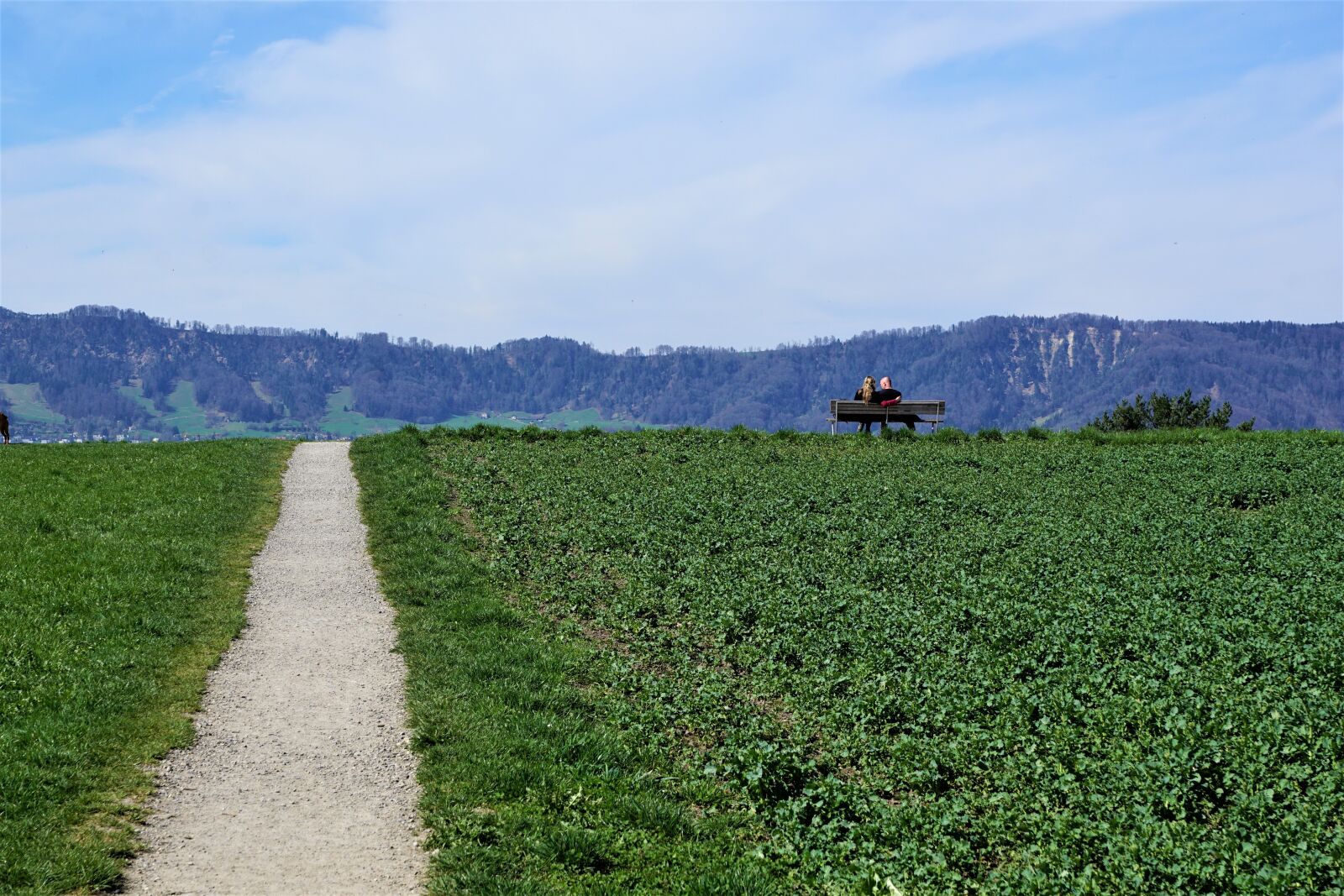 Sony ILCA-77M2 + Sony DT 16-50mm F2.8 SSM sample photo. Zollikon, pair, zollikerberg photography