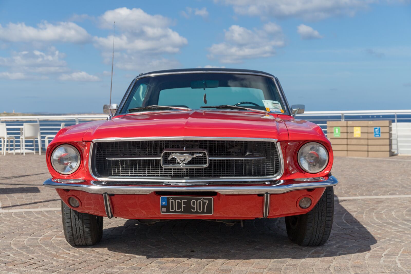 Canon EOS 6D Mark II + Canon EF 24-70mm F4L IS USM sample photo. Mustang, malta, cars photography