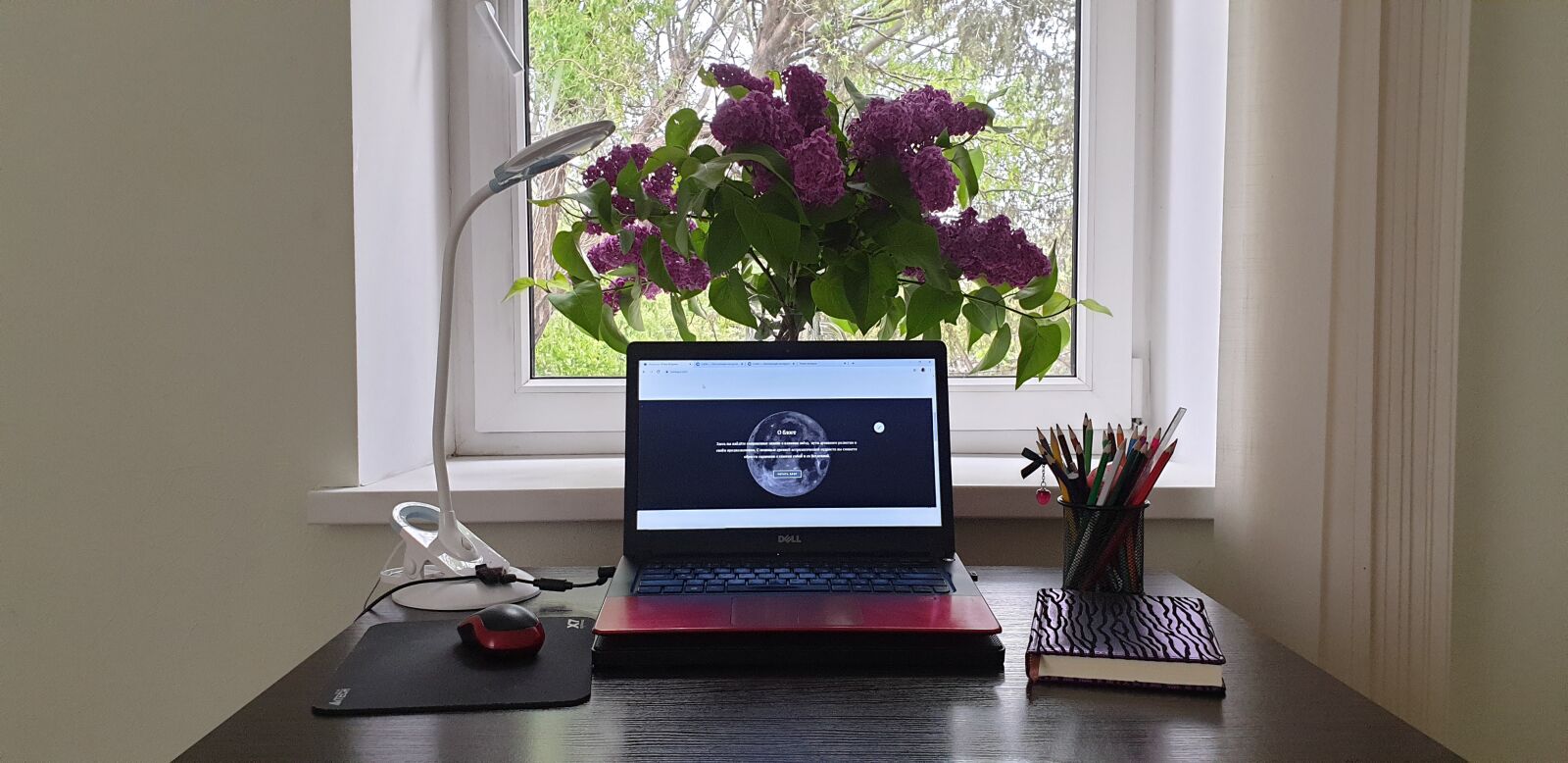 Samsung Galaxy S9+ sample photo. Workplace, laptop, table photography