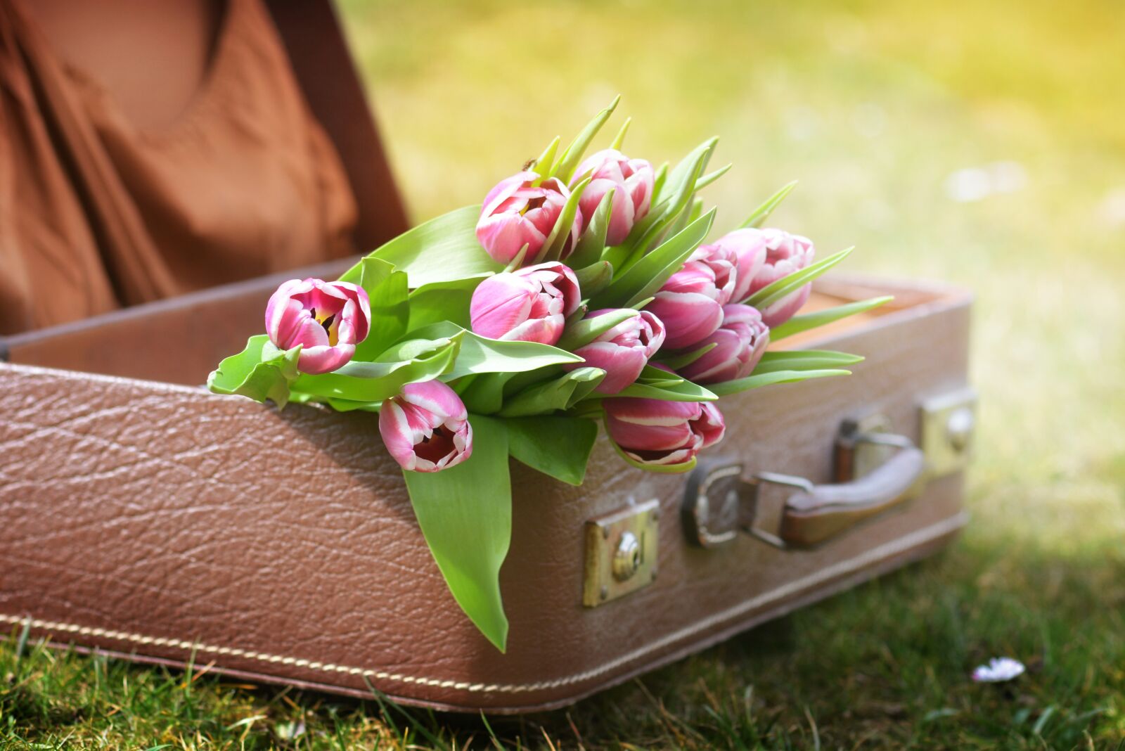 Nikon D7100 sample photo. Luggage, tulips, spring photography