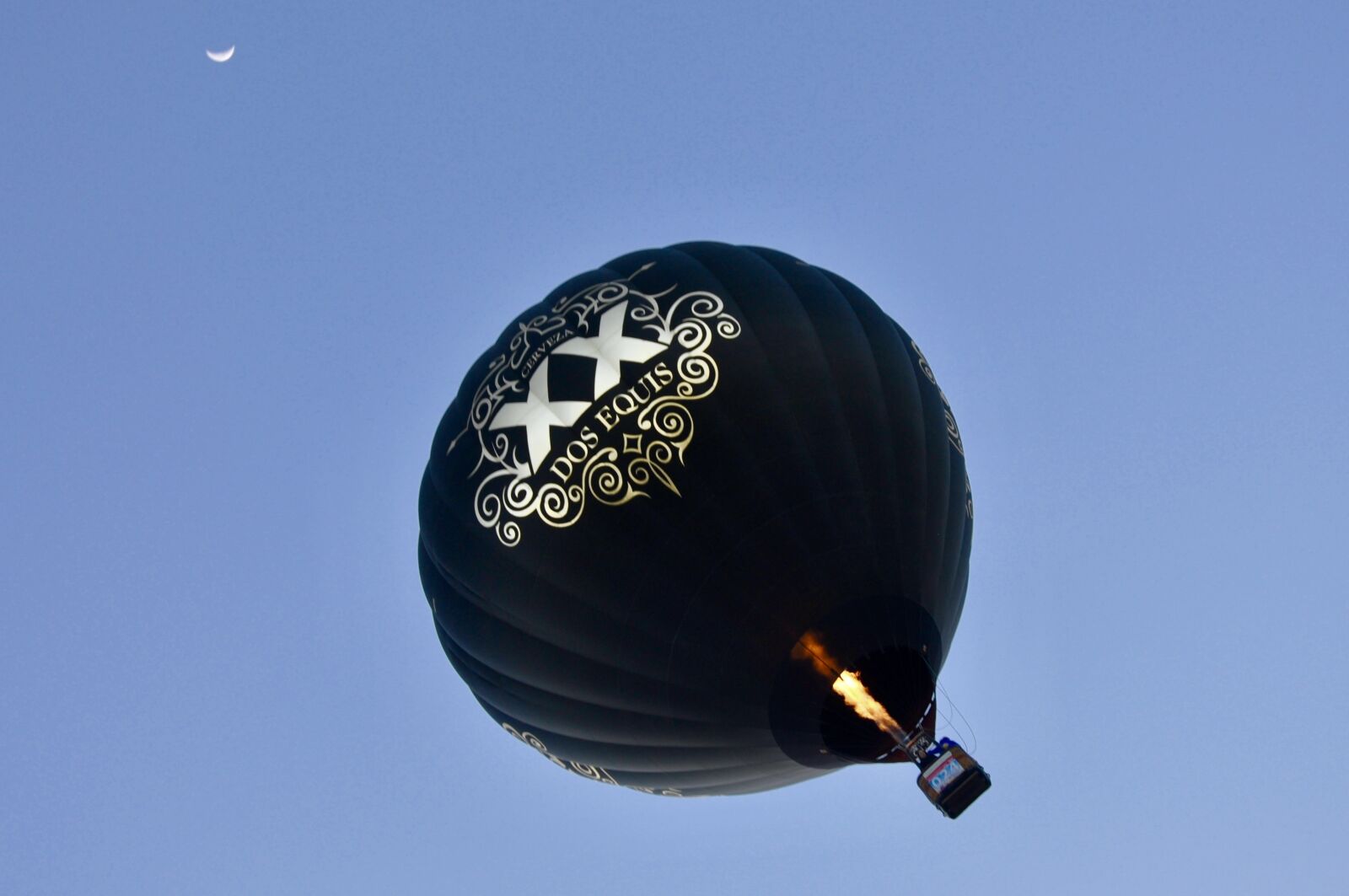 Nikon D90 sample photo. Sky, balloon, air photography