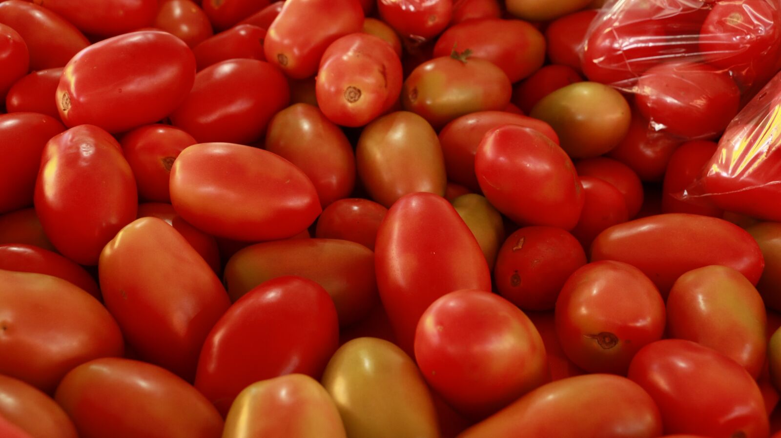 Canon EOS 70D sample photo. Tomato, fruit, vegetables photography