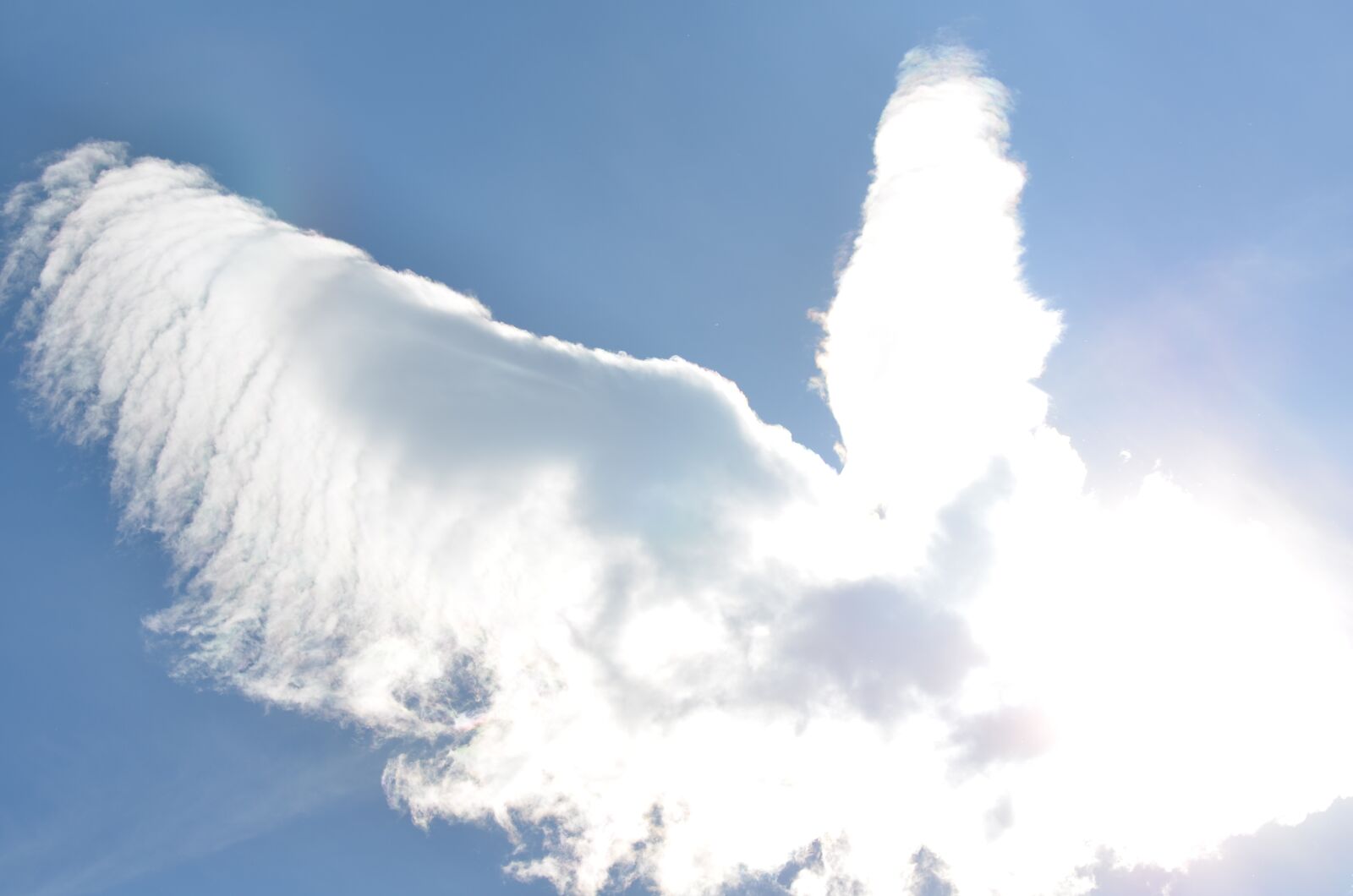 Nikon D7000 sample photo. Cloud, bird, sky photography