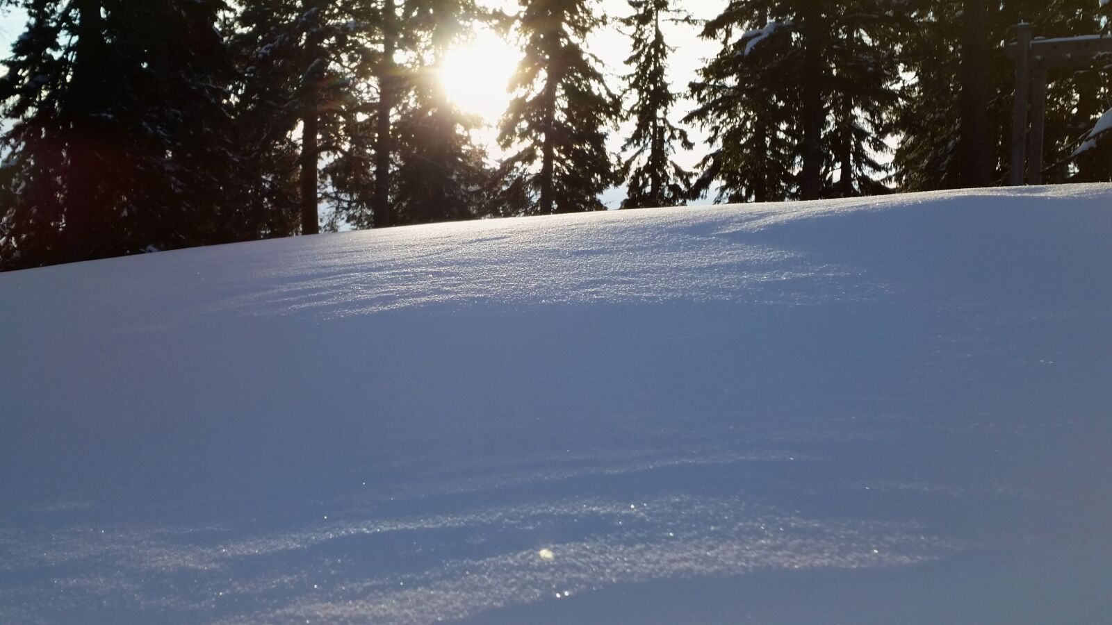 Samsung Galaxy S5 sample photo. Snow, winter, cold photography