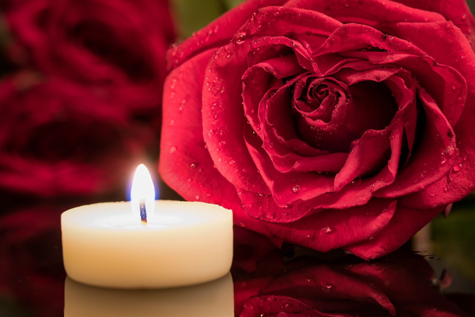 Canon EF-S 60mm F2.8 Macro USM sample photo. Candle, red rose, candlelight photography