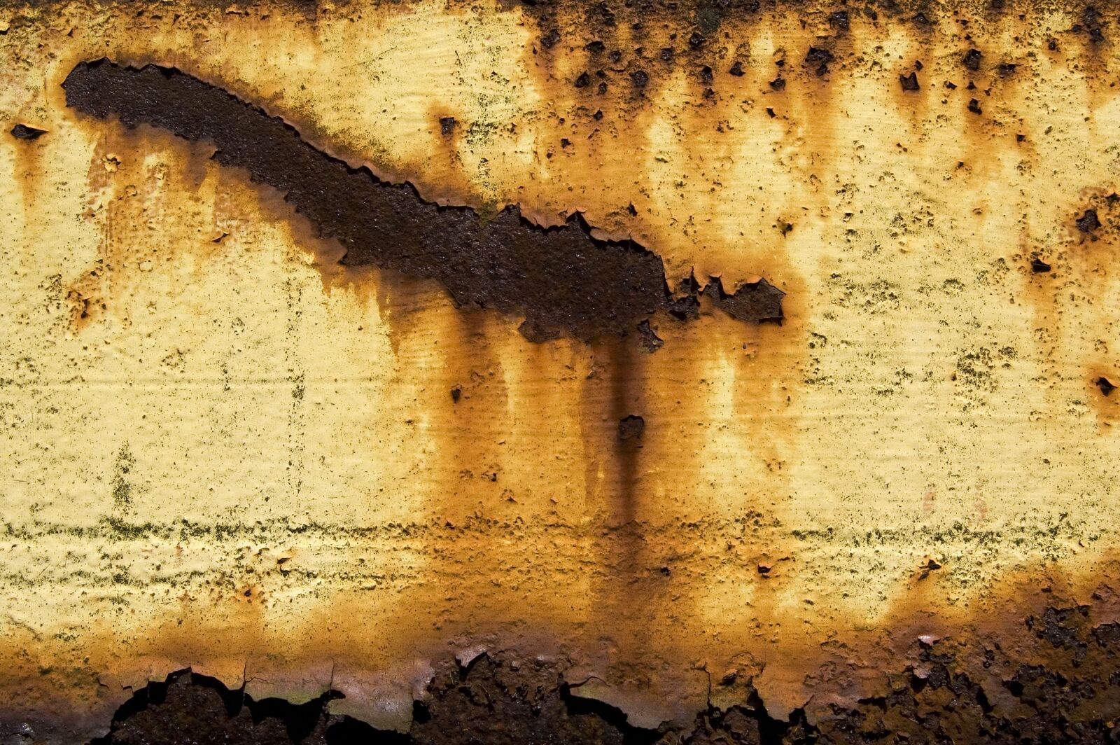Nikon D50 sample photo. Texture, metal, rust photography