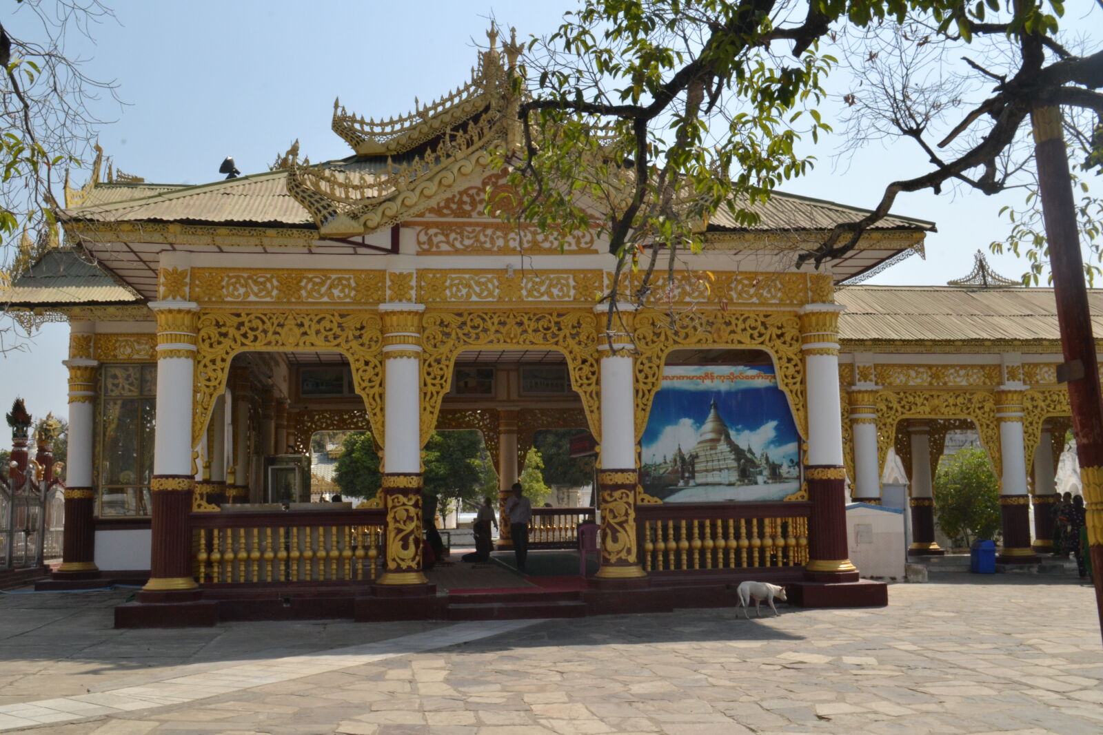 Nikon D3100 sample photo