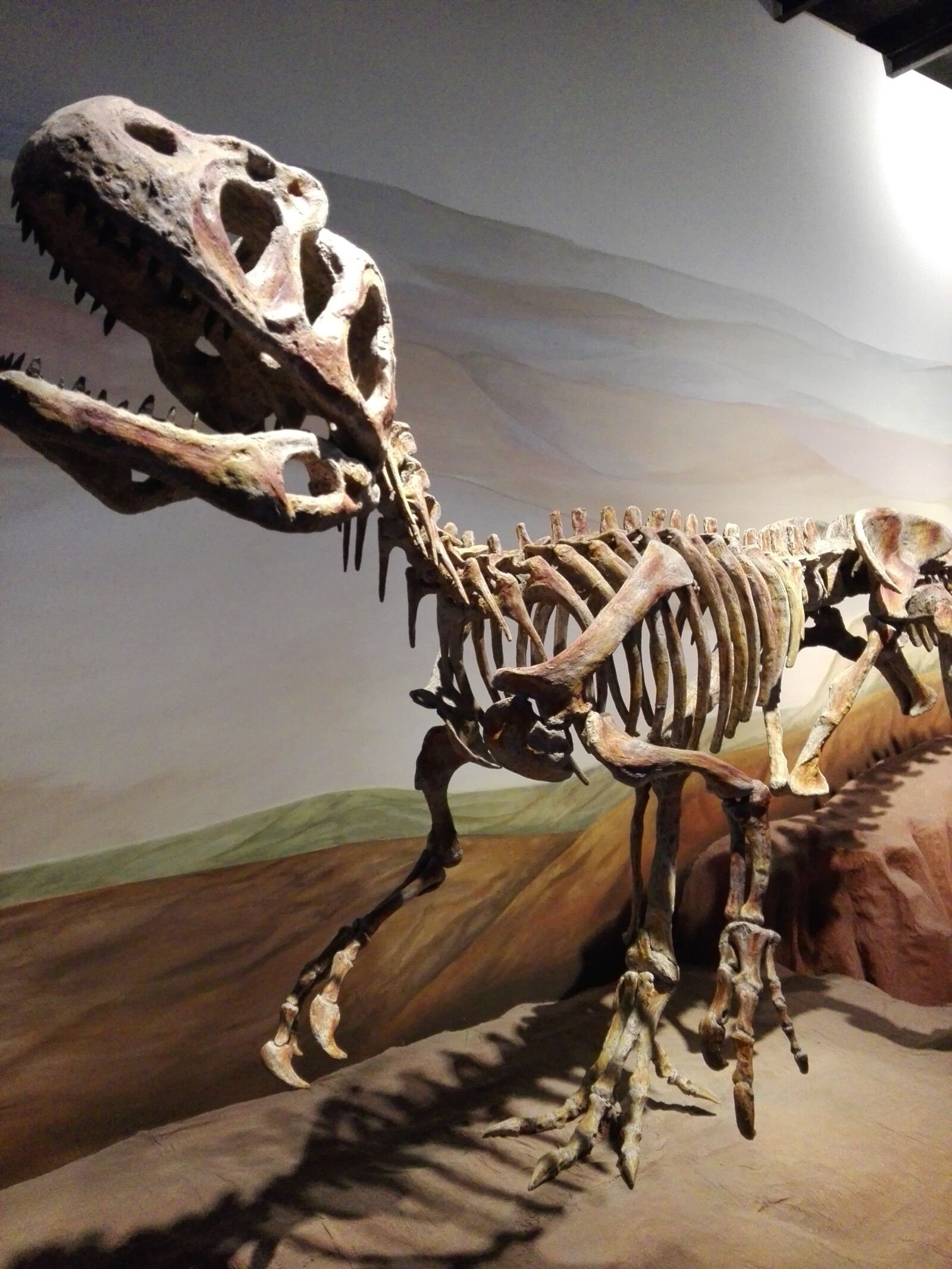 HUAWEI Y6II sample photo. Dinosaurios, animales, jurásico photography