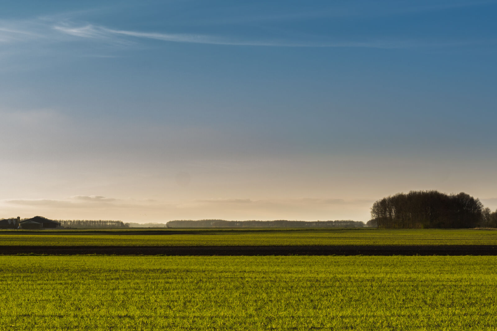 Sony DT 35mm F1.8 SAM sample photo. Dutch, grass, green, landscape photography