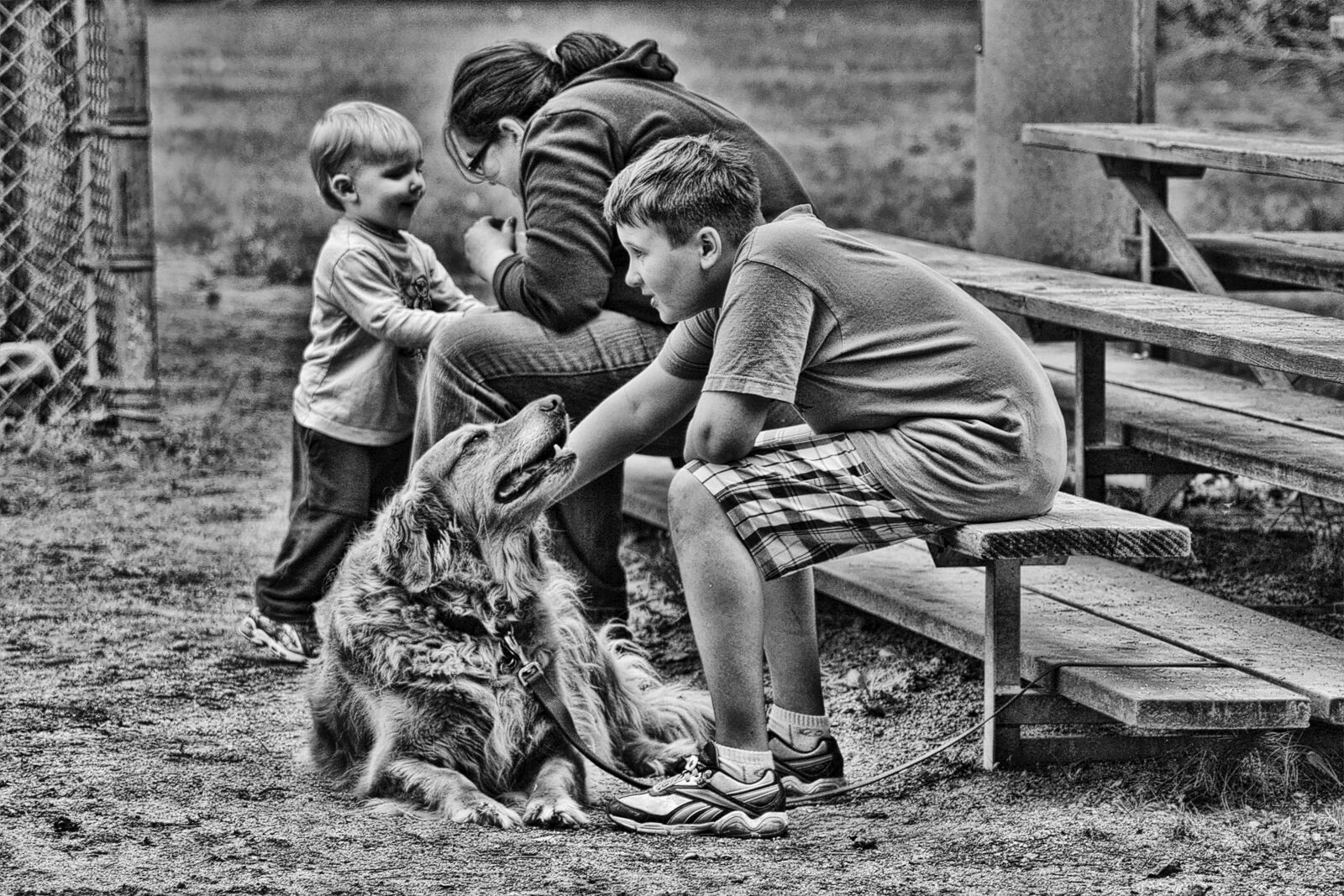 Nikon D70 sample photo. Family, kids, dogs photography