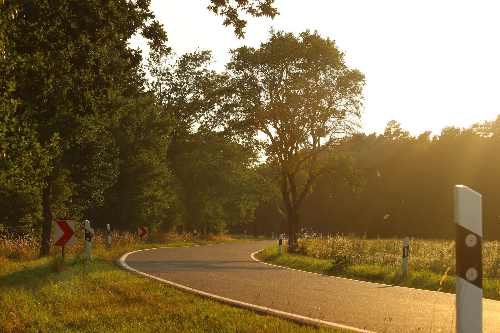 Canon EOS 100D (EOS Rebel SL1 / EOS Kiss X7) sample photo. Road, curve, landscape photography