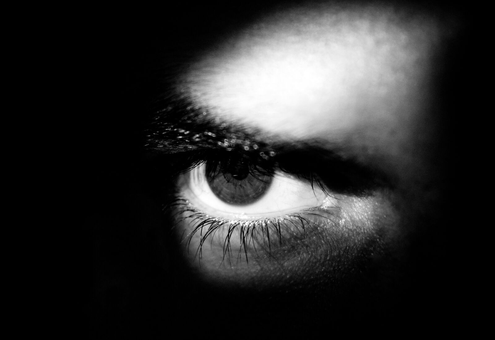 Nikon D7100 sample photo. Eye, eyes, look photography