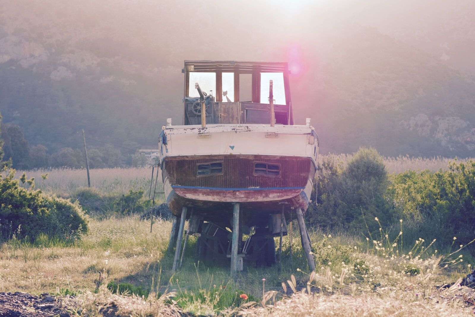 Nikon D3300 sample photo. Man, standing, on, agricultural photography
