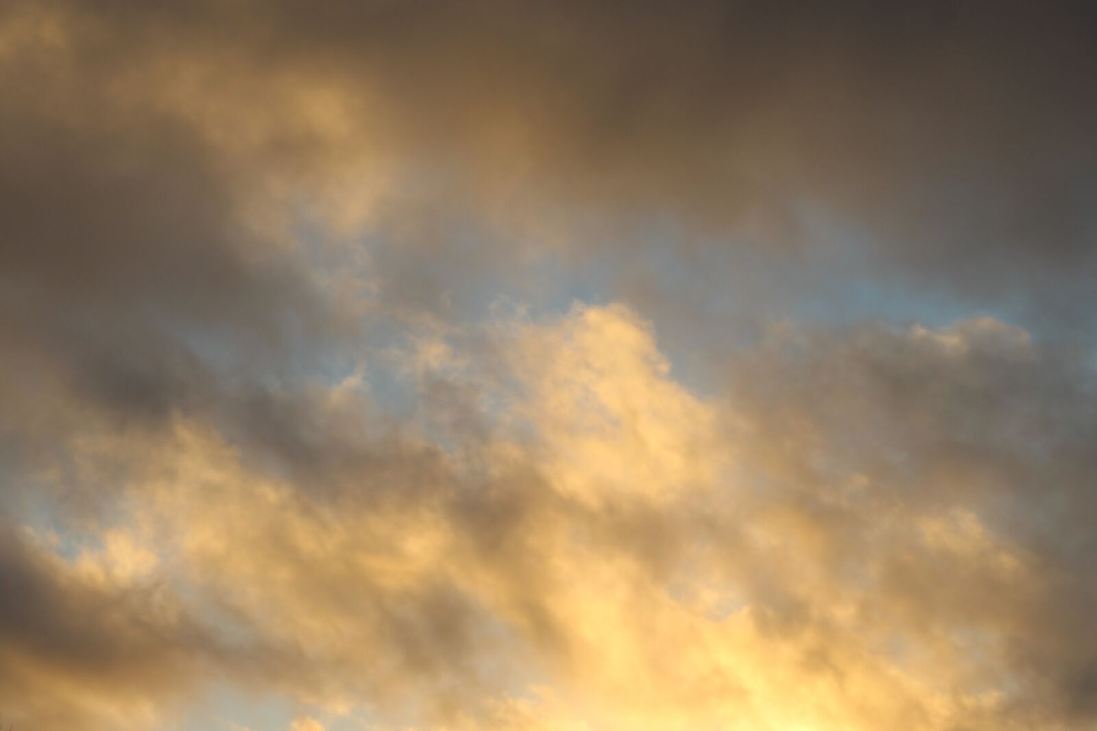 Canon EF 50mm F1.8 STM sample photo. Sunset, pink, yellow photography
