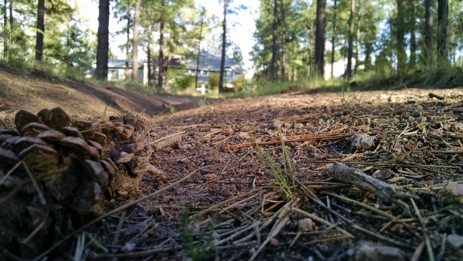 Motorola XT1080 sample photo
