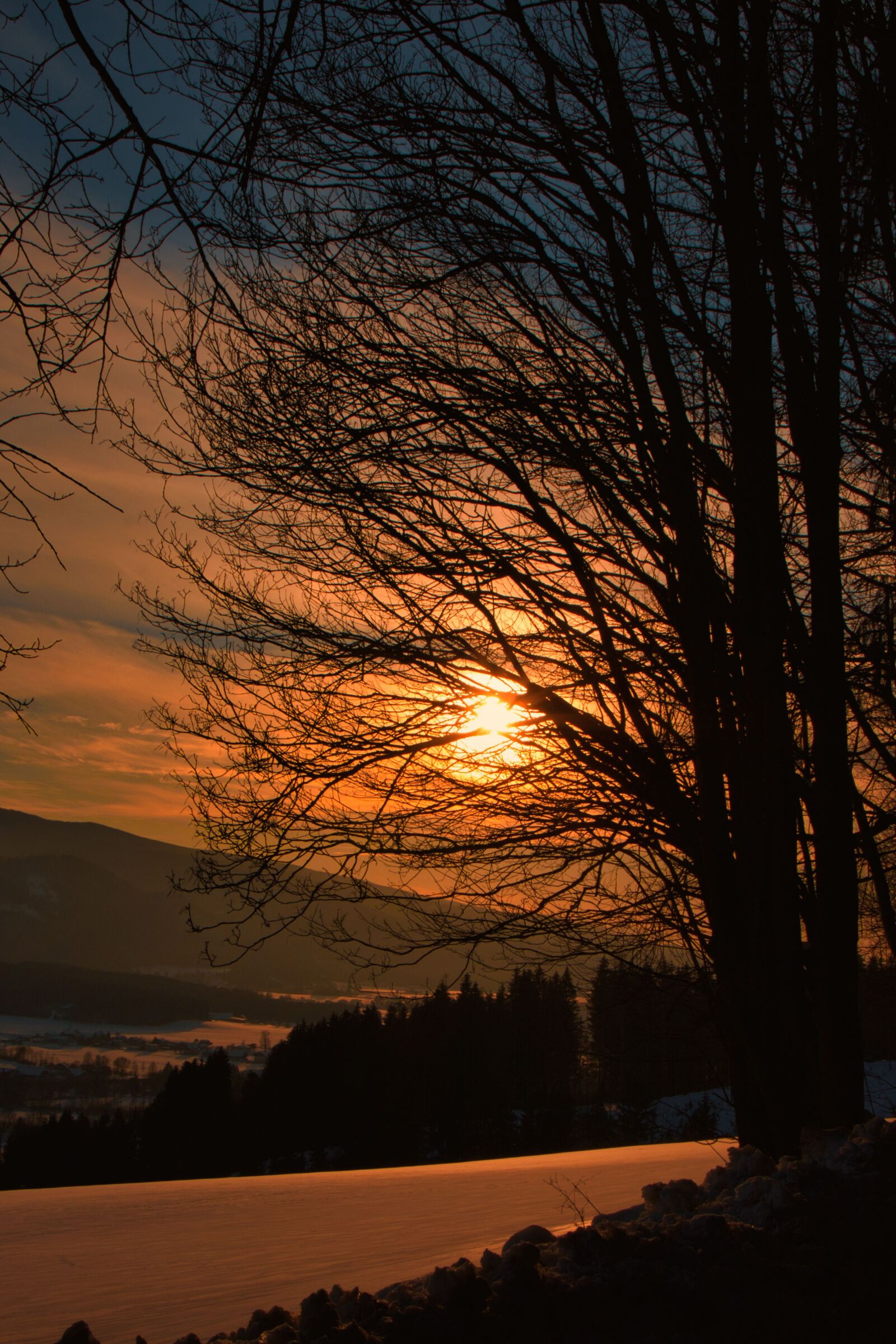 Canon EOS 700D (EOS Rebel T5i / EOS Kiss X7i) sample photo. Sunset, snow, forest photography
