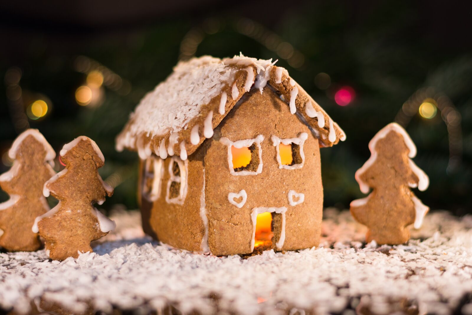Nikon D7200 sample photo. Gingerbread house, advent, gingerbread photography