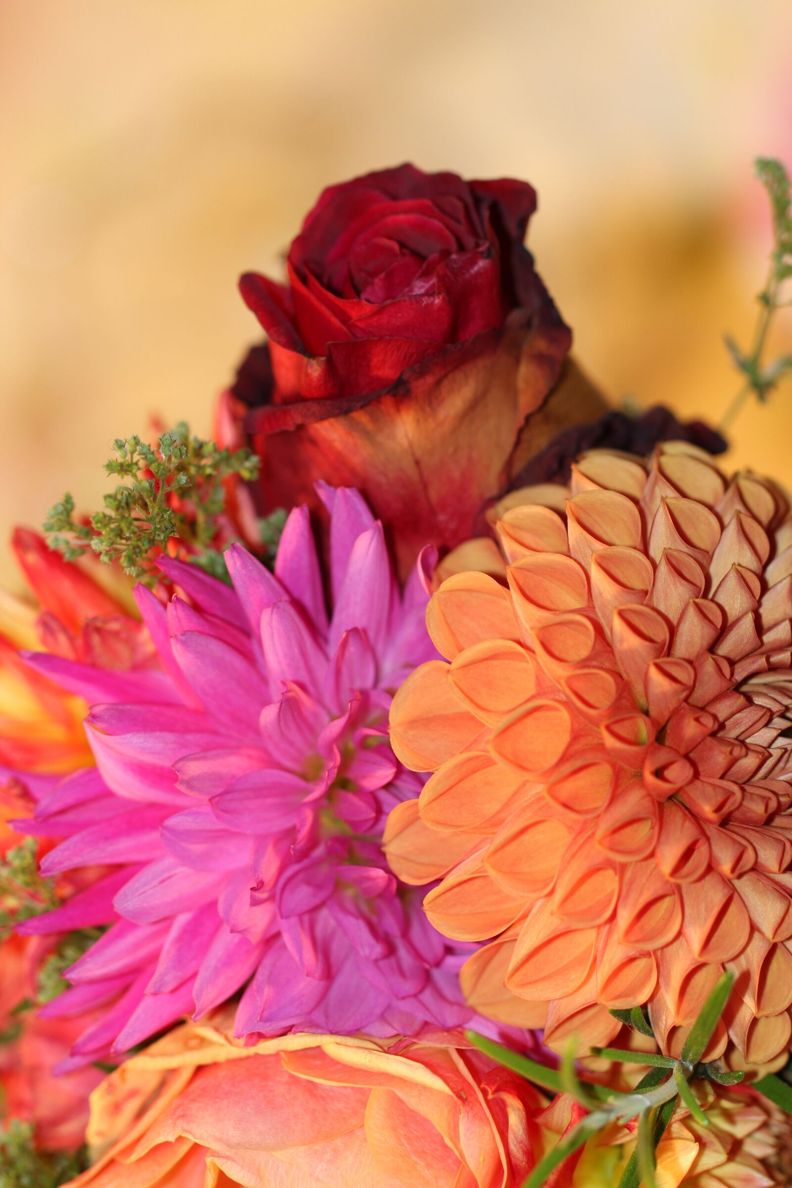 Canon EF 100mm F2.8L Macro IS USM sample photo. Bouquet, colorful, birthday photography