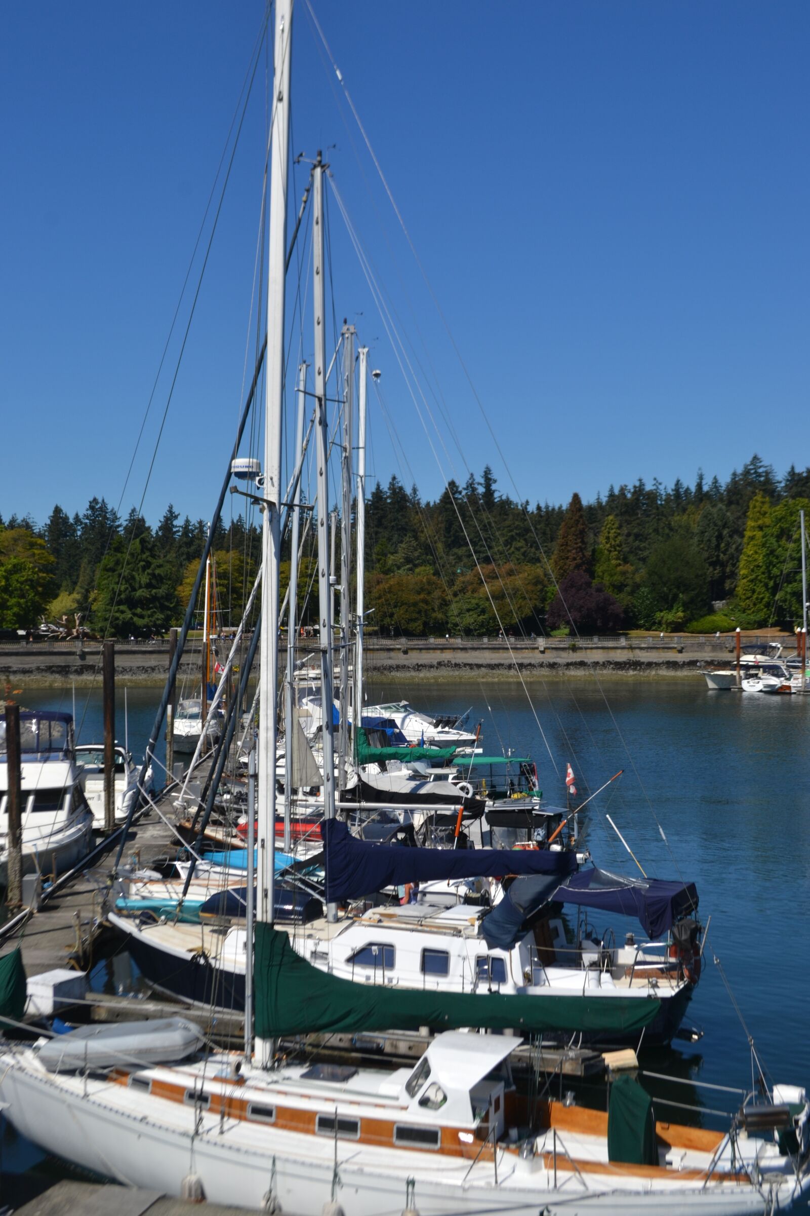 Nikon D3100 sample photo. Canada, vancouver, city photography