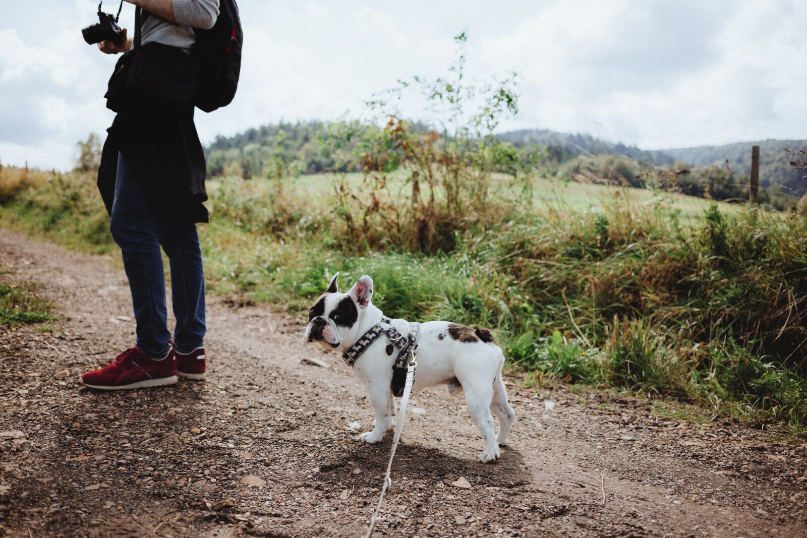 Canon EF 40mm F2.8 STM sample photo. Animals, nature, people photography
