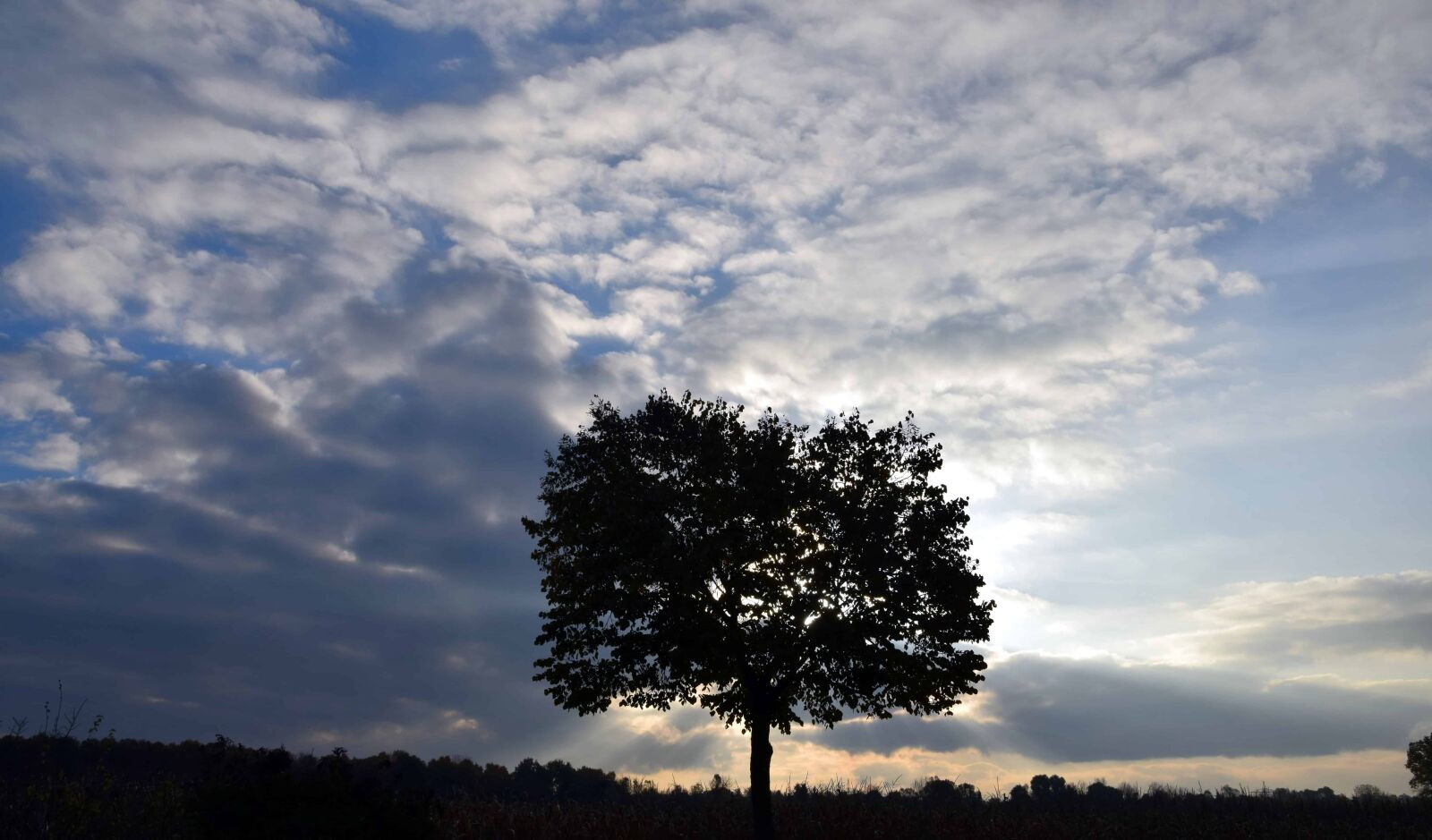 Nikon D3300 sample photo. Landscape, tree, nature, dusk photography