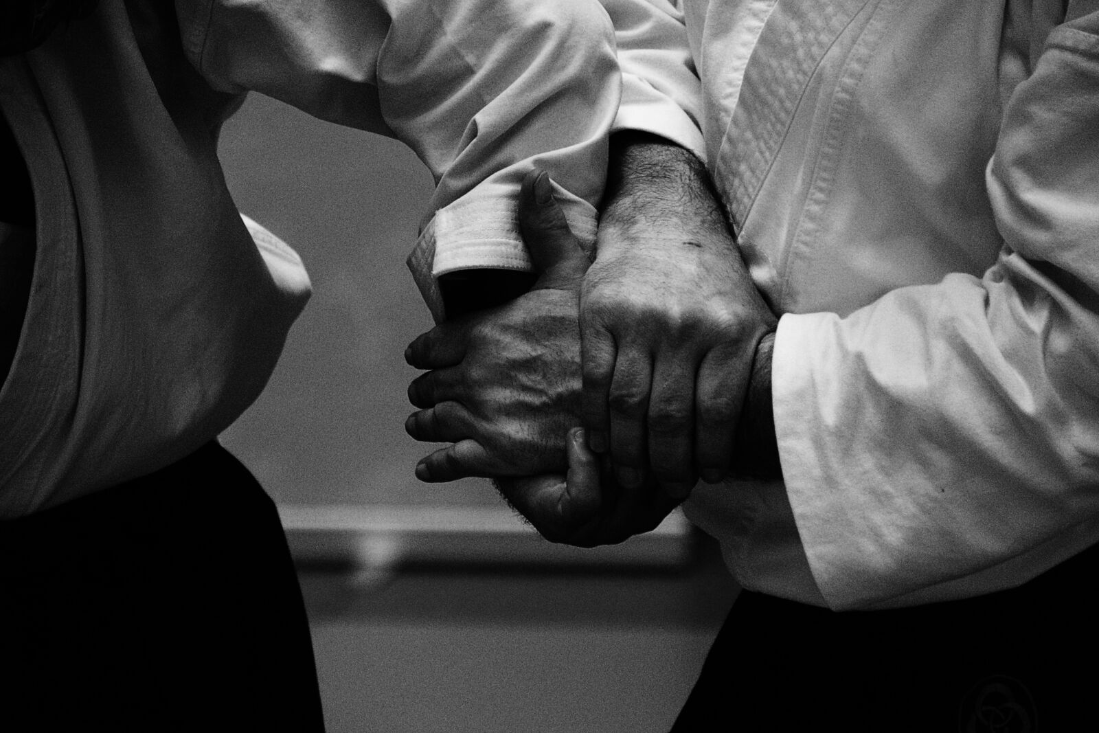 Canon EOS 700D (EOS Rebel T5i / EOS Kiss X7i) sample photo. Aikido, self-defense, training photography