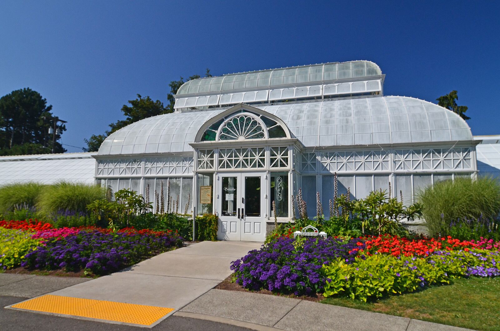 Nikon D7000 sample photo. Seattle, volunteer park, conservatory photography